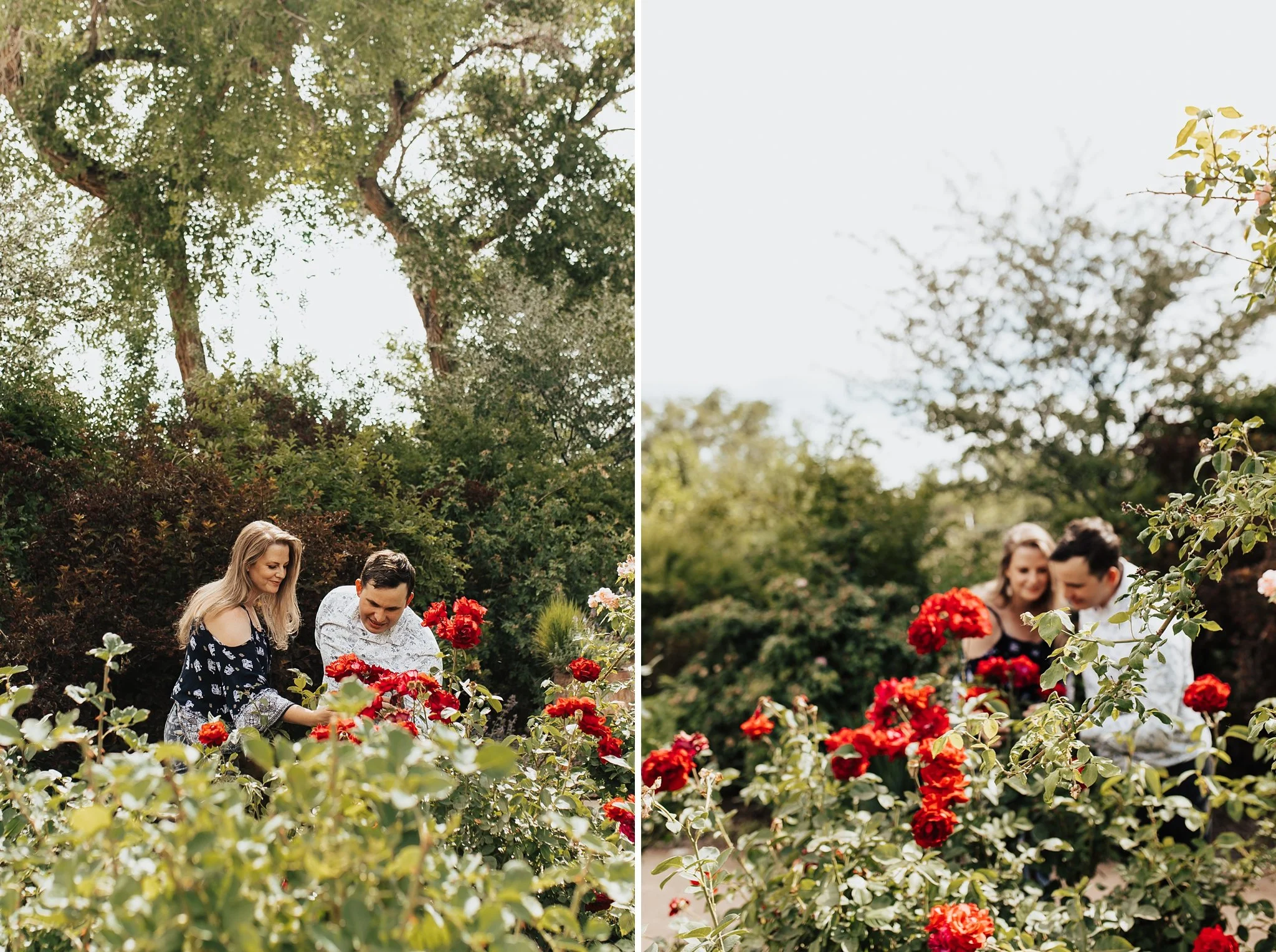 Alicia+lucia+photography+-+botanic-garden+-+botanic-garden-engagement+-+albuquerque-engagement_0023.jpg