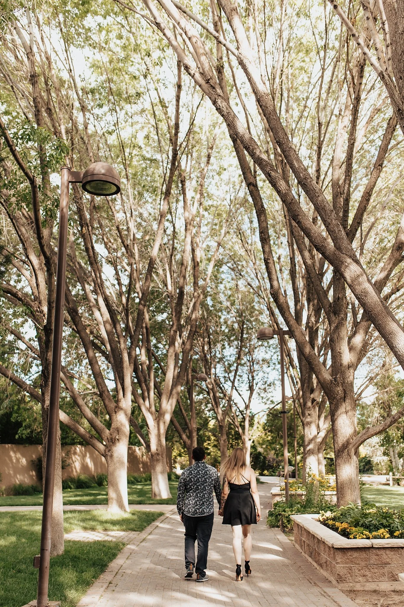 Alicia+lucia+photography+-+botanic-garden+-+botanic-garden-engagement+-+albuquerque-engagement_0055.jpg