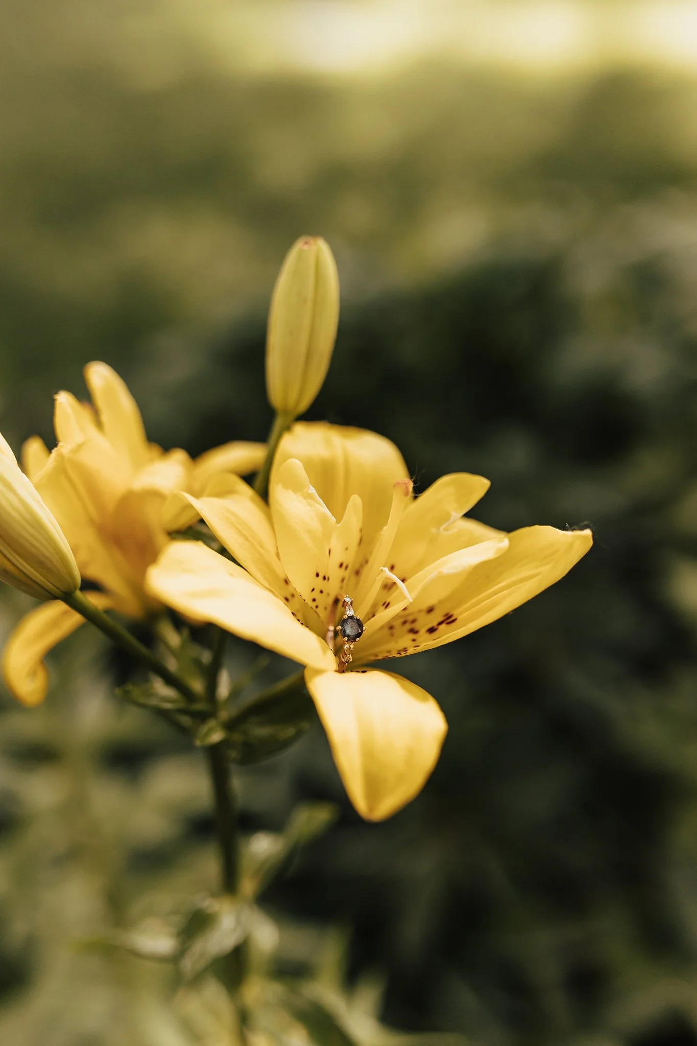 Alicia+lucia+photography+-+botanic-garden+-+botanic-garden-engagement+-+albuquerque-engagement_0058.jpg