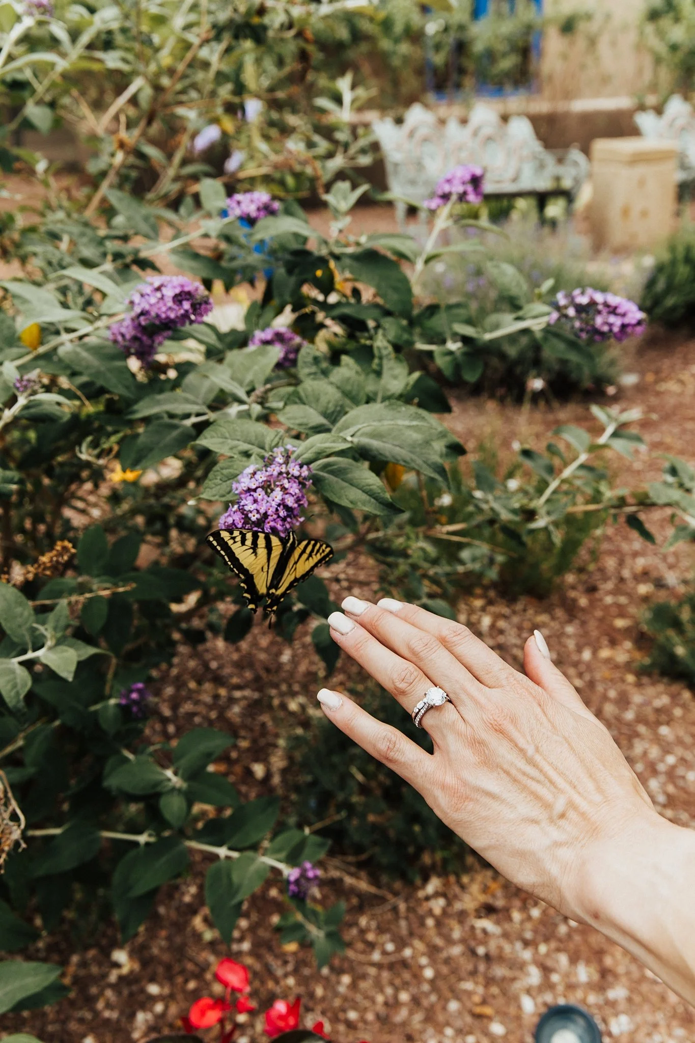 Alicia+lucia+photography+-+la+posada+wedding+-+santa+fe+plaza+-+santa+fe+wedding_0042.jpg