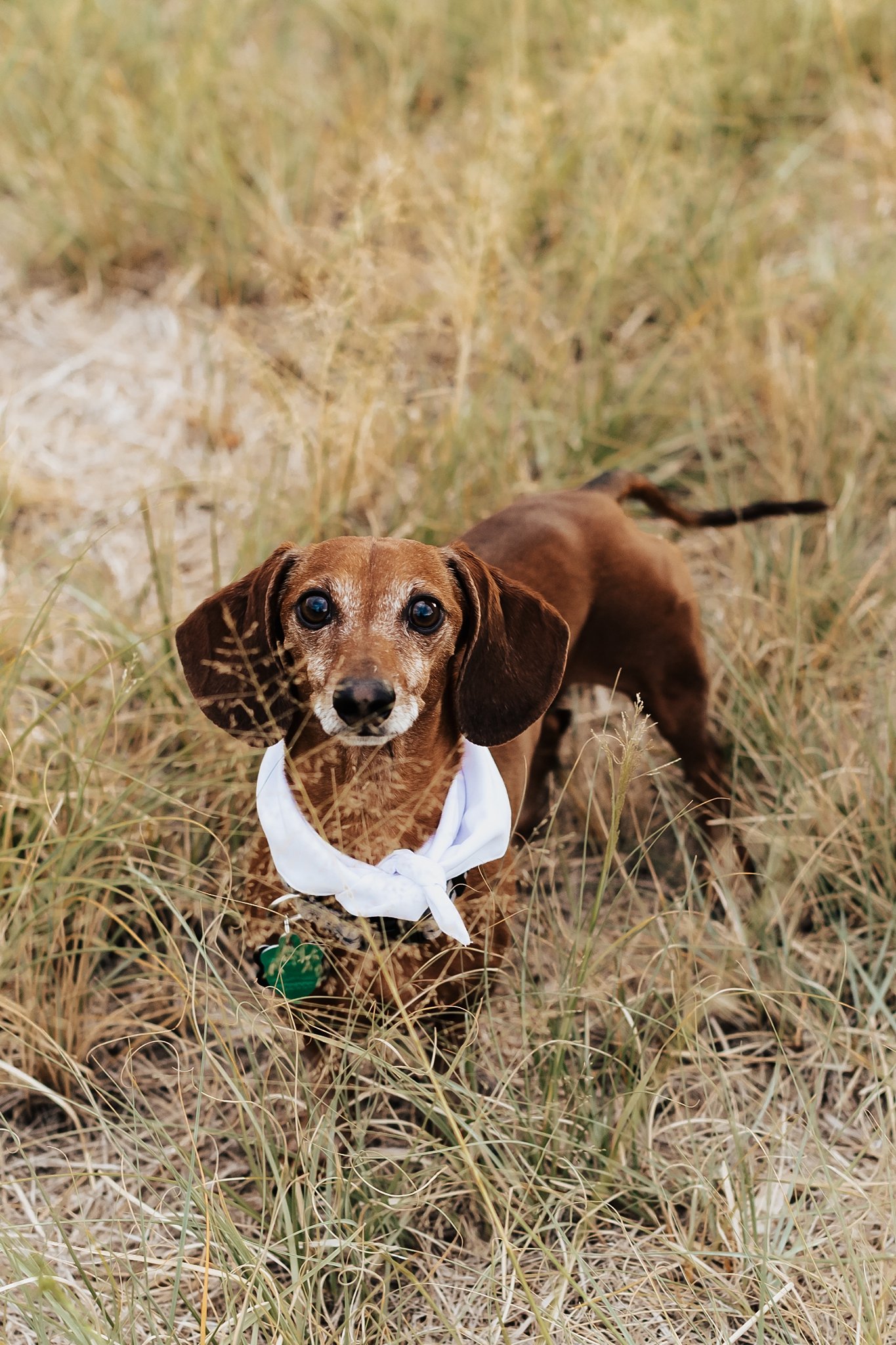 Alicia+lucia+photography+-+southwest+maternity+-+maternity+session+-+albuquerque+maternity_0012.jpg