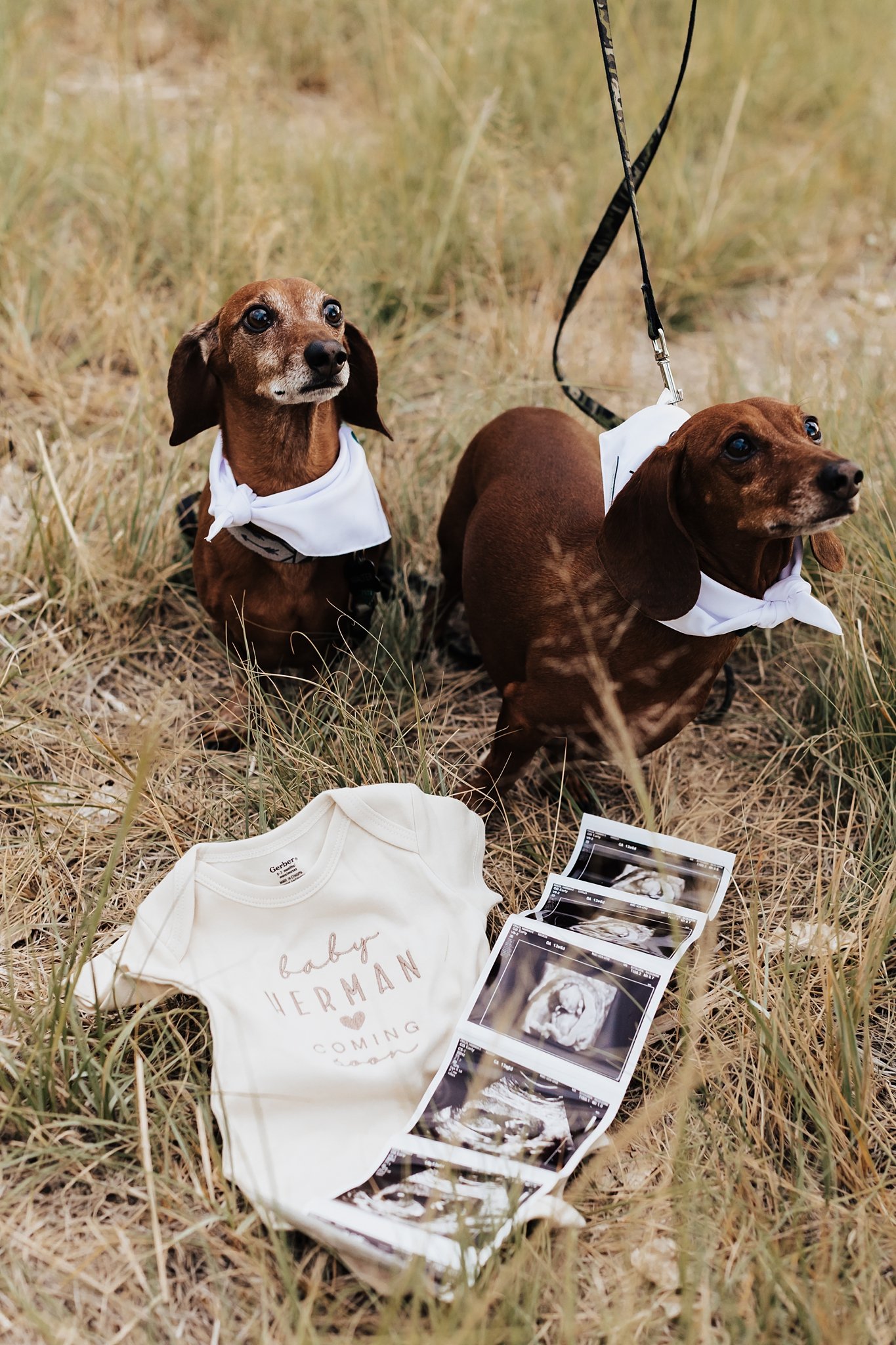 Alicia+lucia+photography+-+southwest+maternity+-+maternity+session+-+albuquerque+maternity_0018.jpg