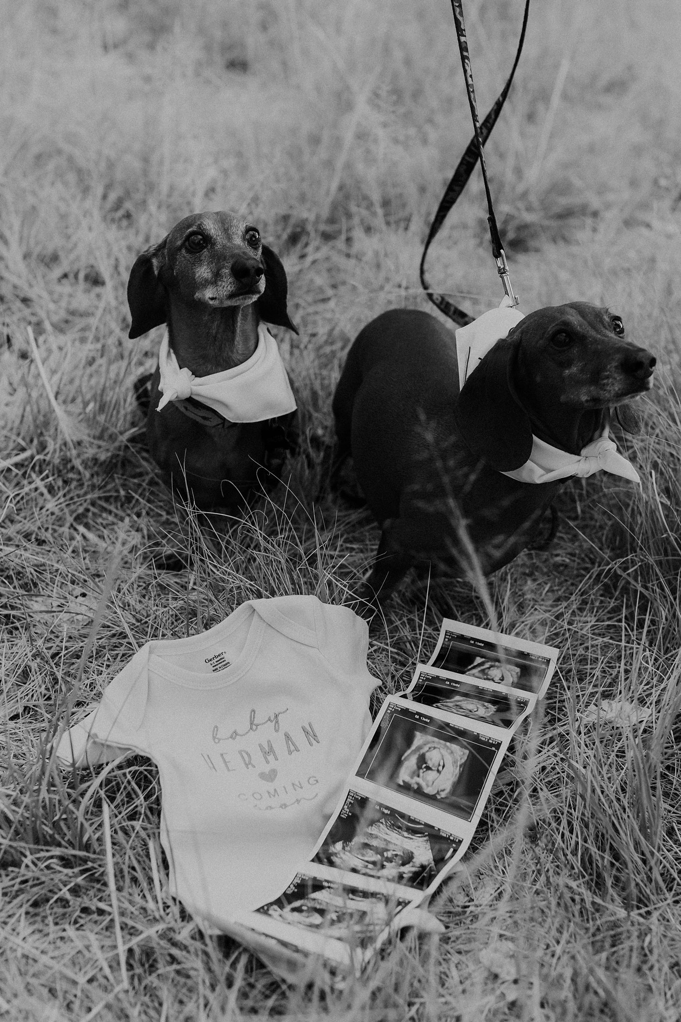 Alicia+lucia+photography+-+southwest+maternity+-+maternity+session+-+albuquerque+maternity_0019.jpg