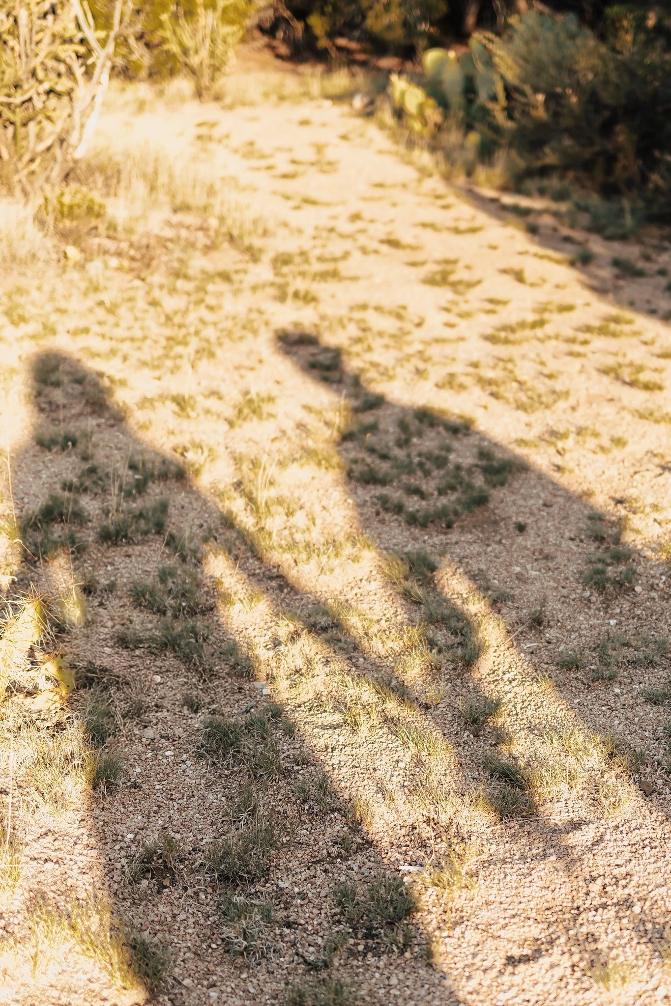 Alicia+lucia+photography+-+desert+engagement+-+new+mexico+engagement+-+taos+wedding_0017.jpg