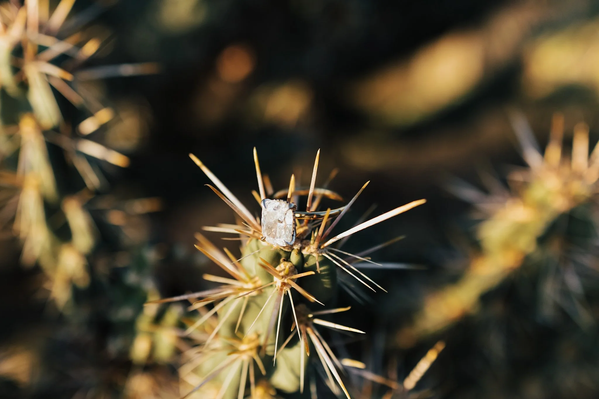 Alicia+lucia+photography+-+desert+engagement+-+new+mexico+engagement+-+taos+wedding_0029.jpg