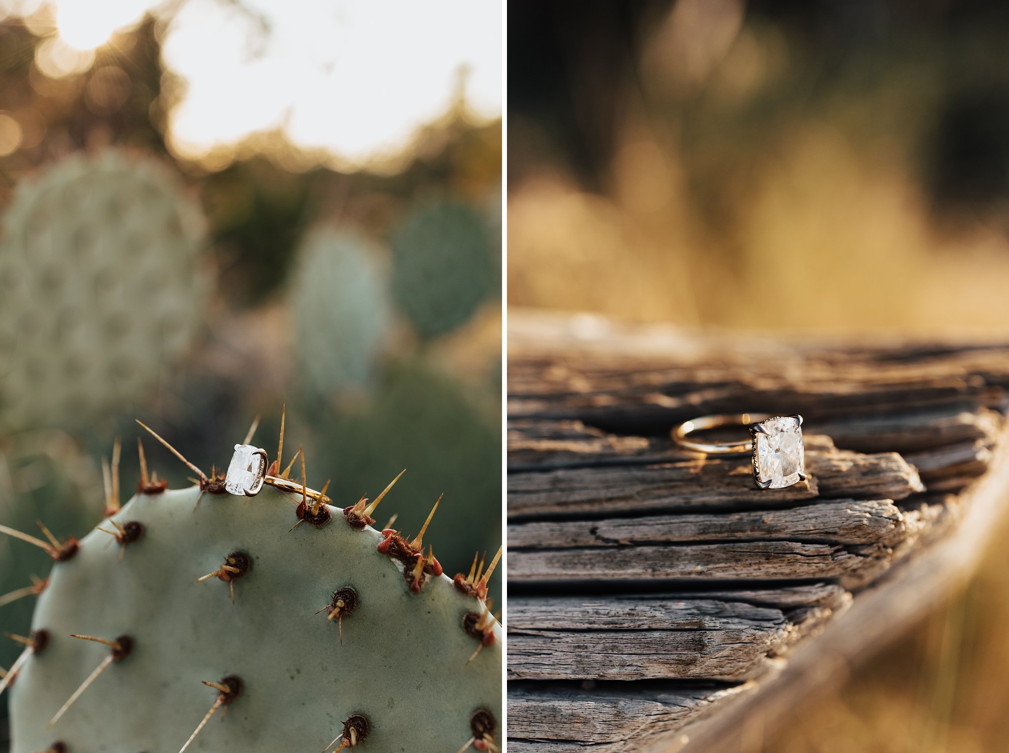 Alicia+lucia+photography+-+desert+engagement+-+new+mexico+engagement+-+taos+wedding_0030.jpg