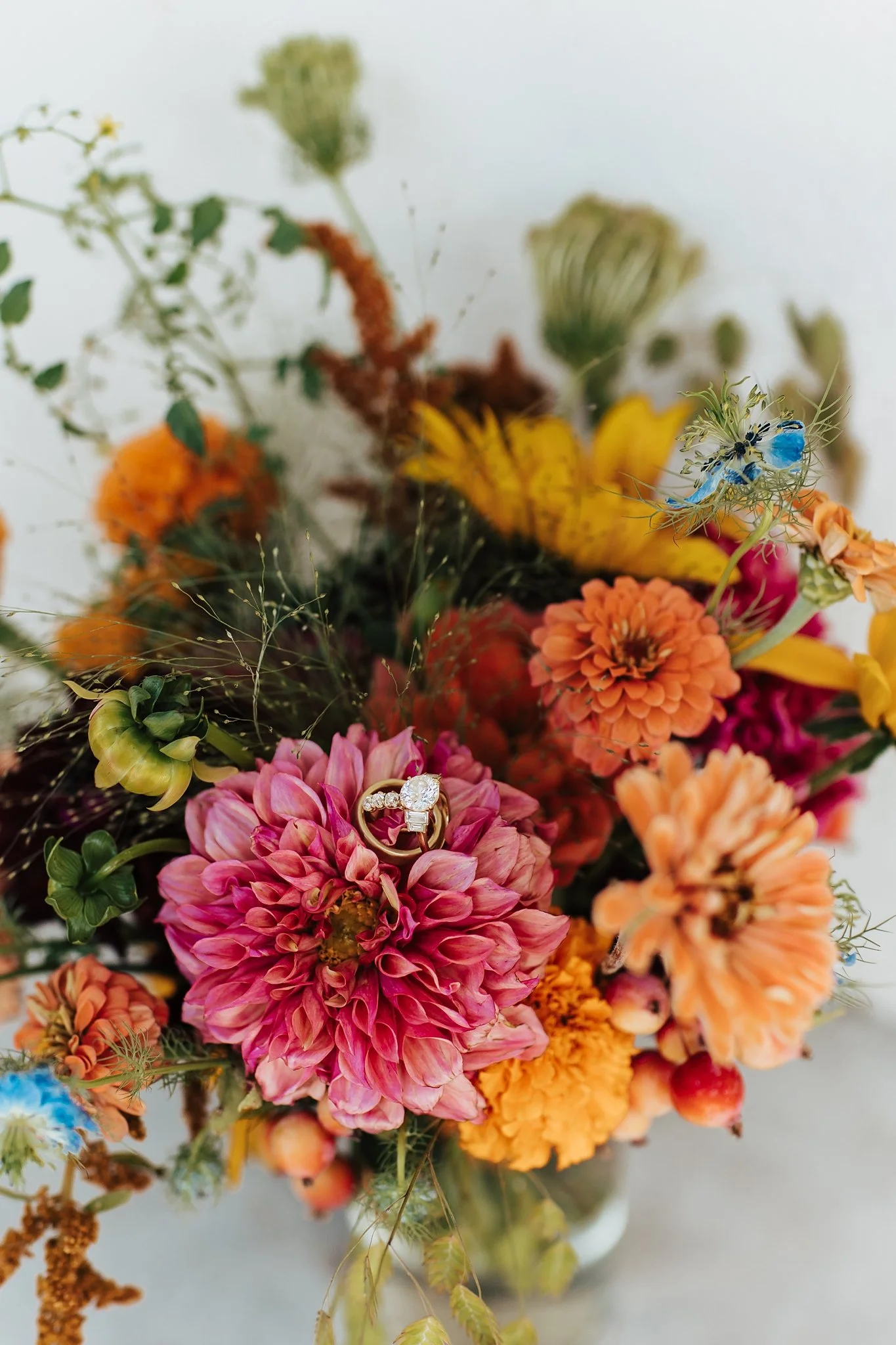Alicia+lucia+photography+-+los+poblanos+-+los+poblanos+wedding+-+lavender+farm+wedding_0006.jpg