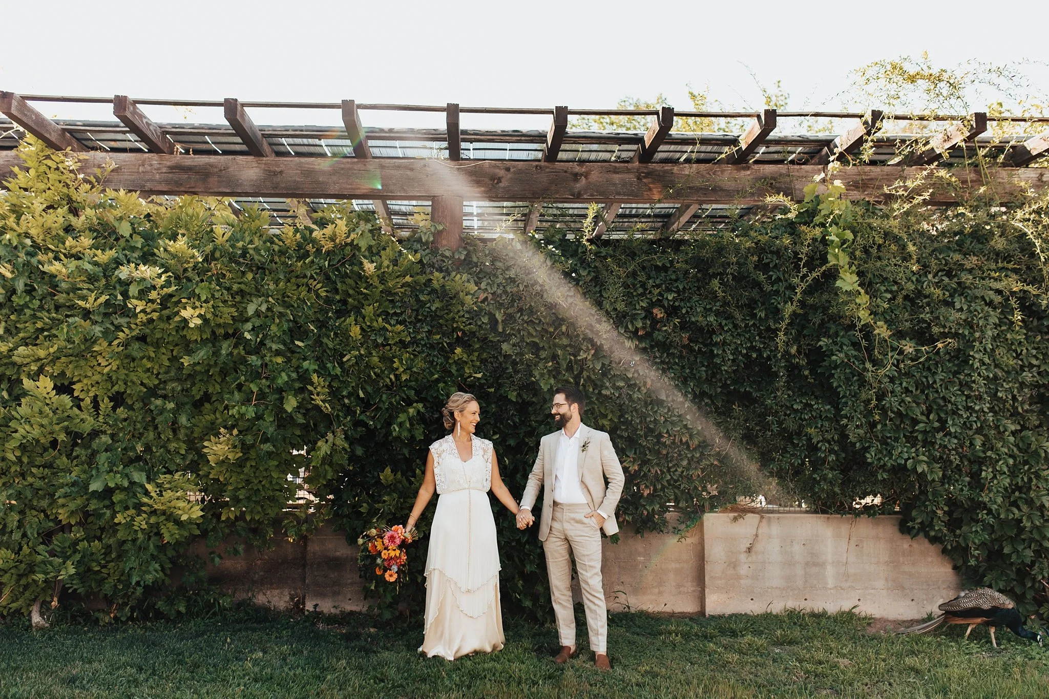 Alicia+lucia+photography+-+los+poblanos+-+los+poblanos+wedding+-+lavender+farm+wedding_0013.jpg