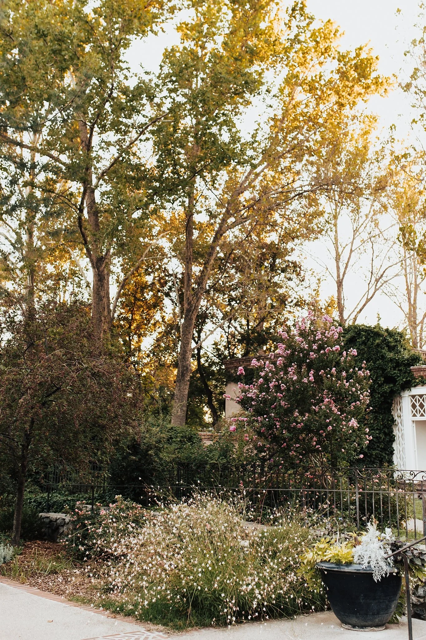 Alicia+lucia+photography+-+los+poblanos+-+los+poblanos+wedding+-+lavender+farm+wedding_0055.jpg