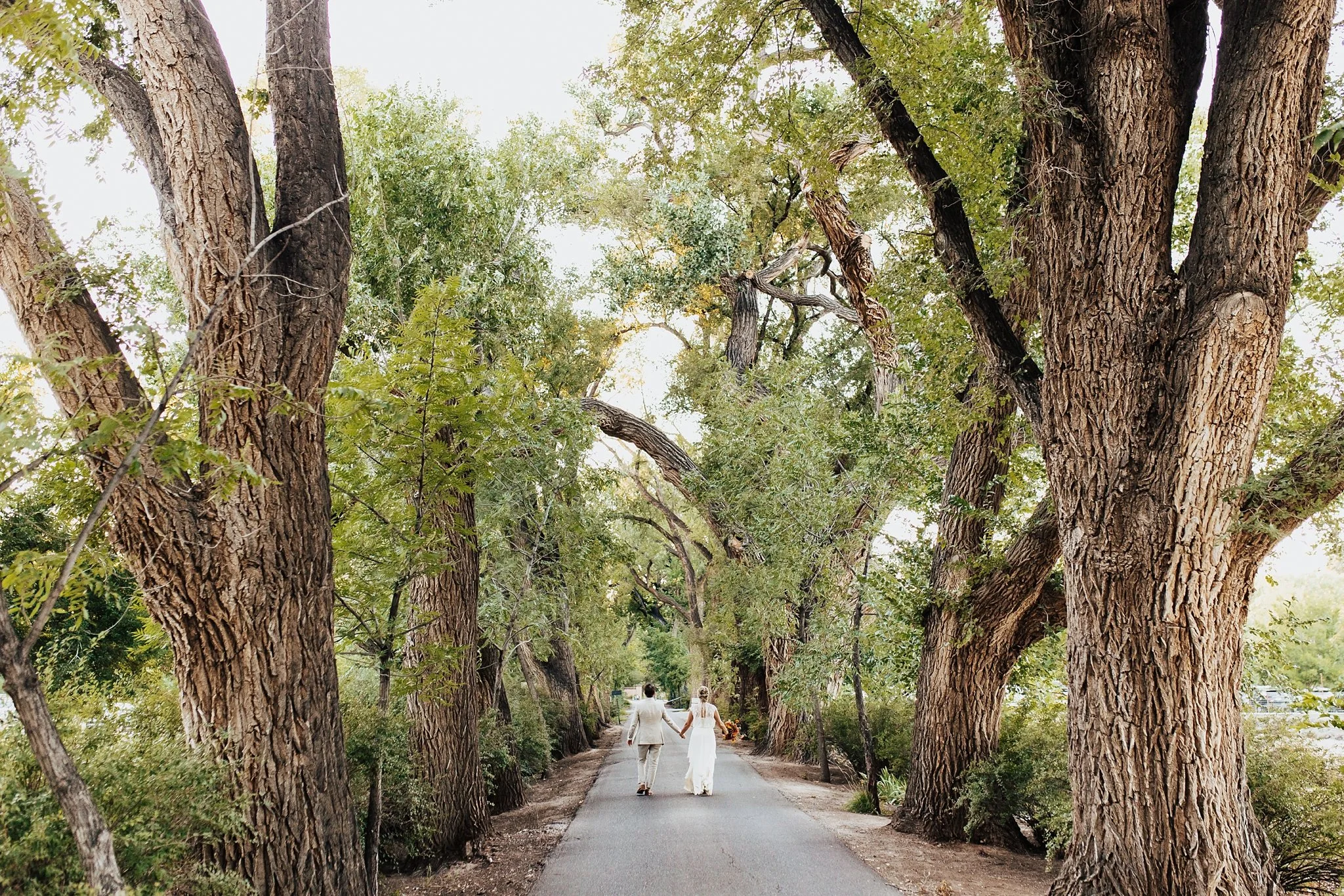 Alicia+lucia+photography+-+los+poblanos+-+los+poblanos+wedding+-+lavender+farm+wedding_0061.jpg