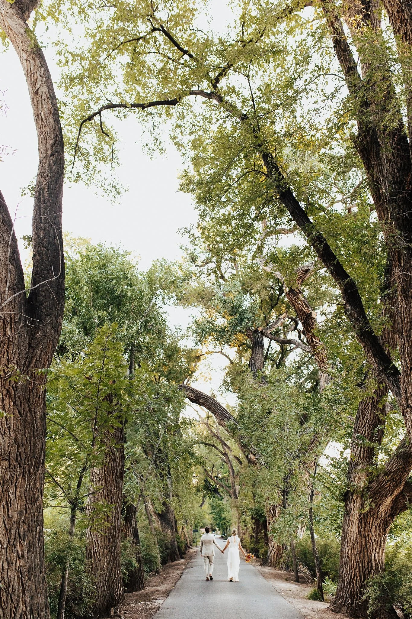 Alicia+lucia+photography+-+los+poblanos+-+los+poblanos+wedding+-+lavender+farm+wedding_0062.jpg