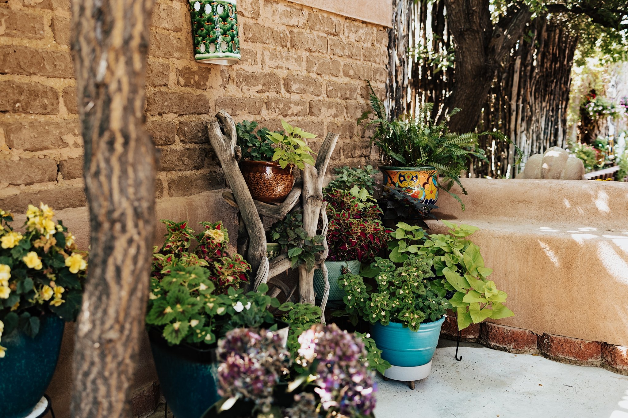 Alicia+lucia+photography+-+taos+wedding+-+backyard+wedding+-+angel+fire+wedding_0022.jpg