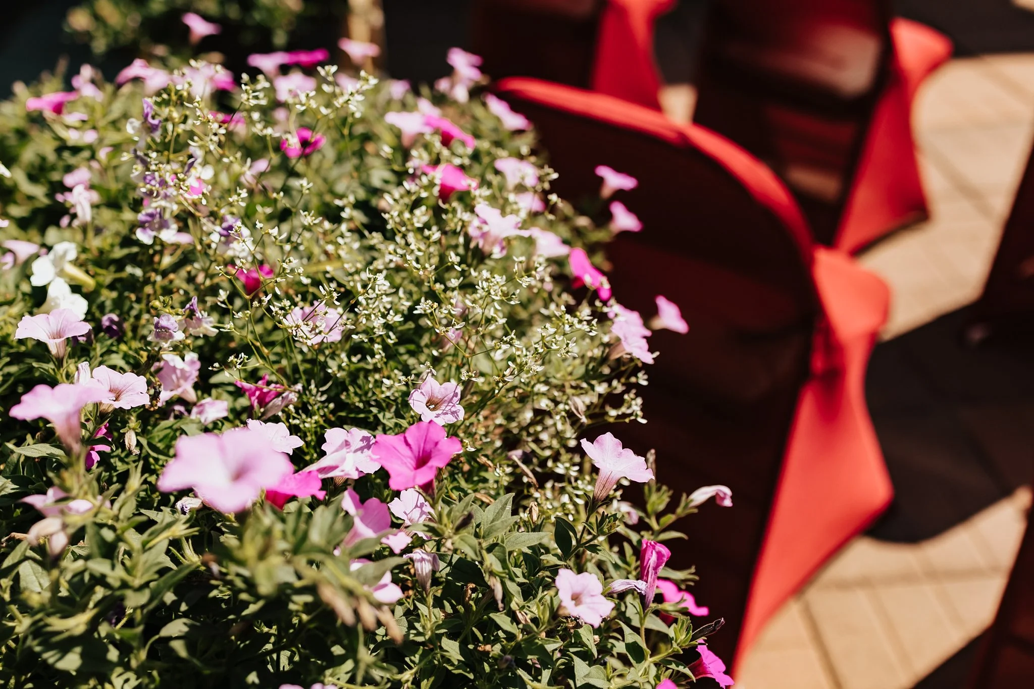 Alicia+lucia+photography+-+taos+wedding+-+backyard+wedding+-+angel+fire+wedding_0026.jpg
