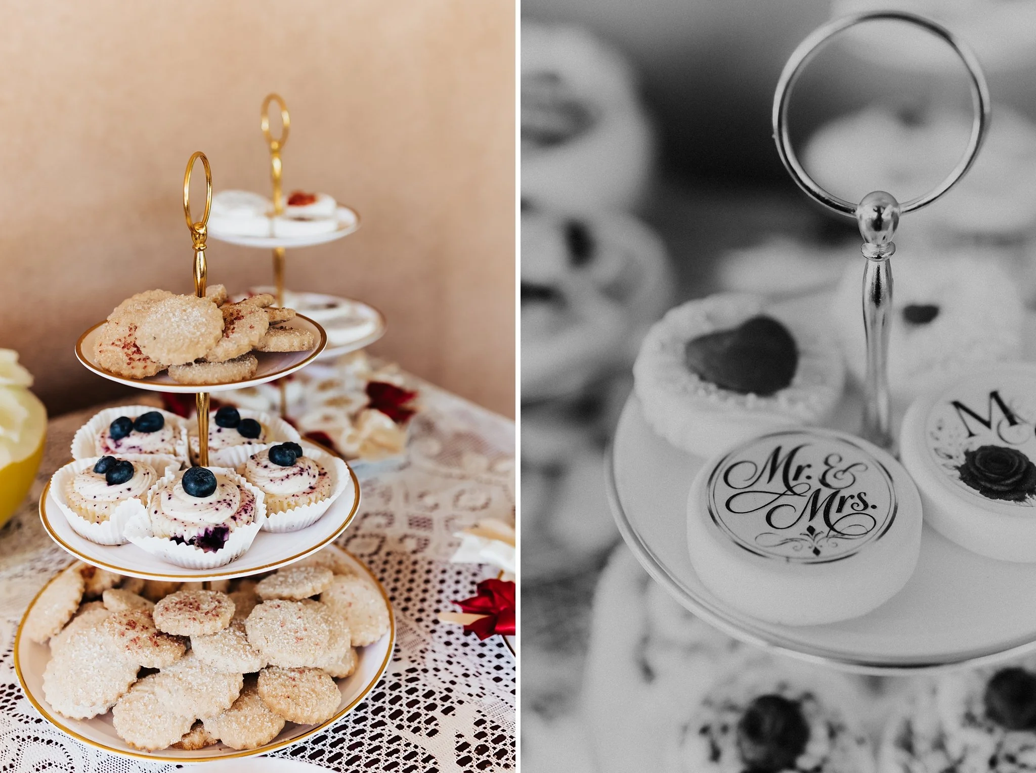 Alicia+lucia+photography+-+taos+wedding+-+backyard+wedding+-+angel+fire+wedding_0087.jpg