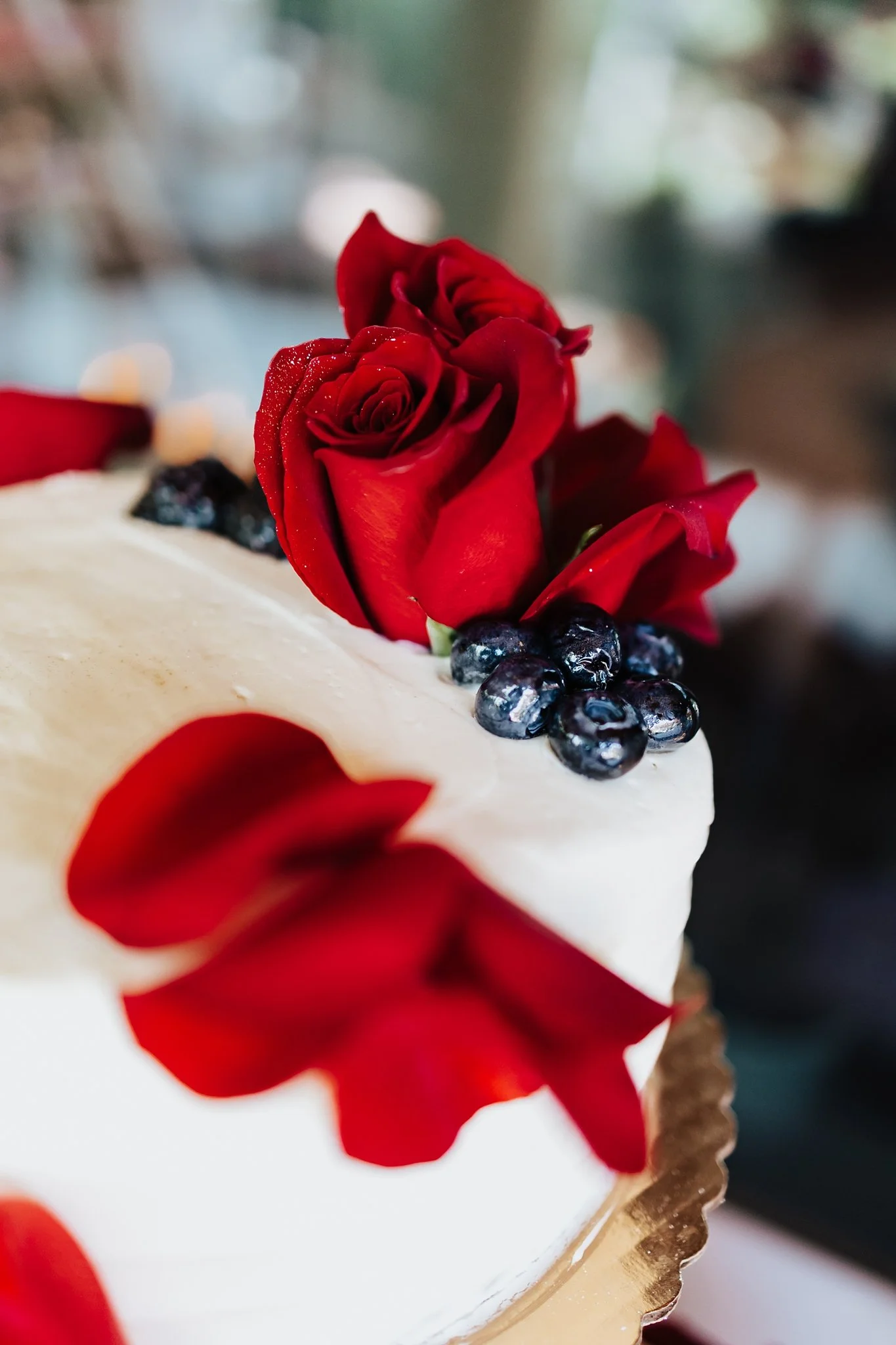 Alicia+lucia+photography+-+taos+wedding+-+backyard+wedding+-+angel+fire+wedding_0090.jpg