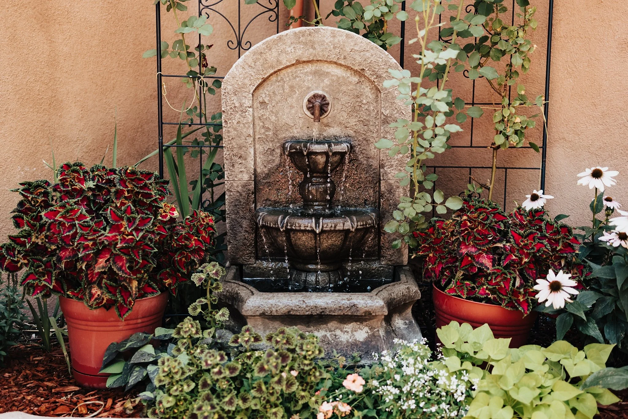 Alicia+lucia+photography+-+taos+wedding+-+backyard+wedding+-+angel+fire+wedding_0095.jpg