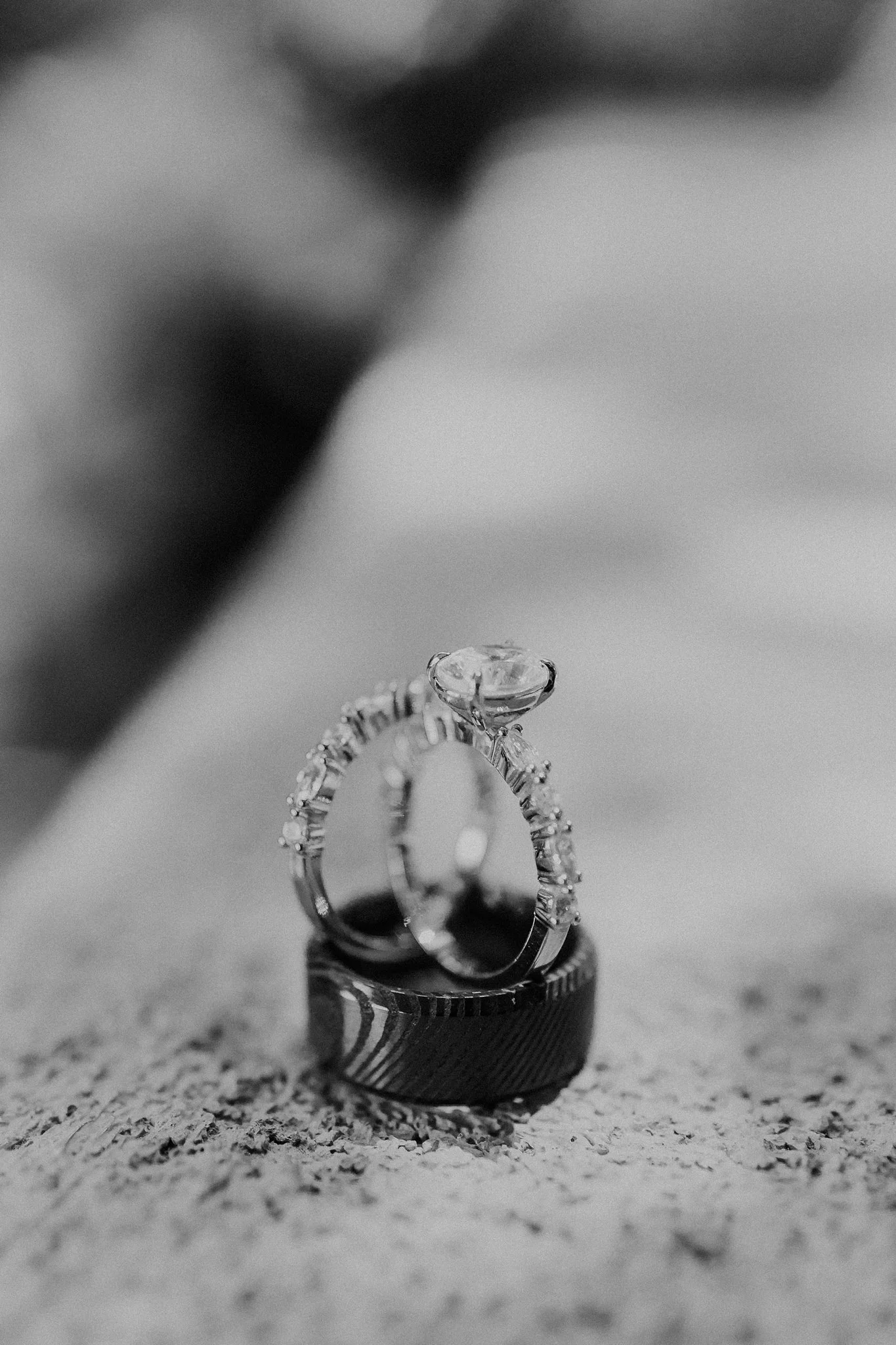 Alicia+lucia+photography+-+taos+wedding+-+backyard+wedding+-+angel+fire+wedding_0098.jpg