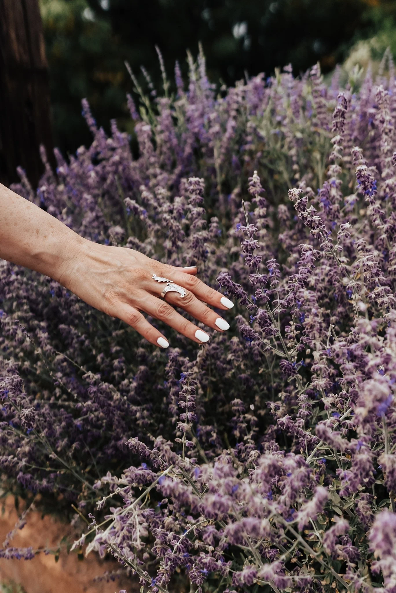 Alicia+lucia+photography+-+southwest+wedding+-+southwest+bachelorette+-+destination+bachelorette_0103.jpg