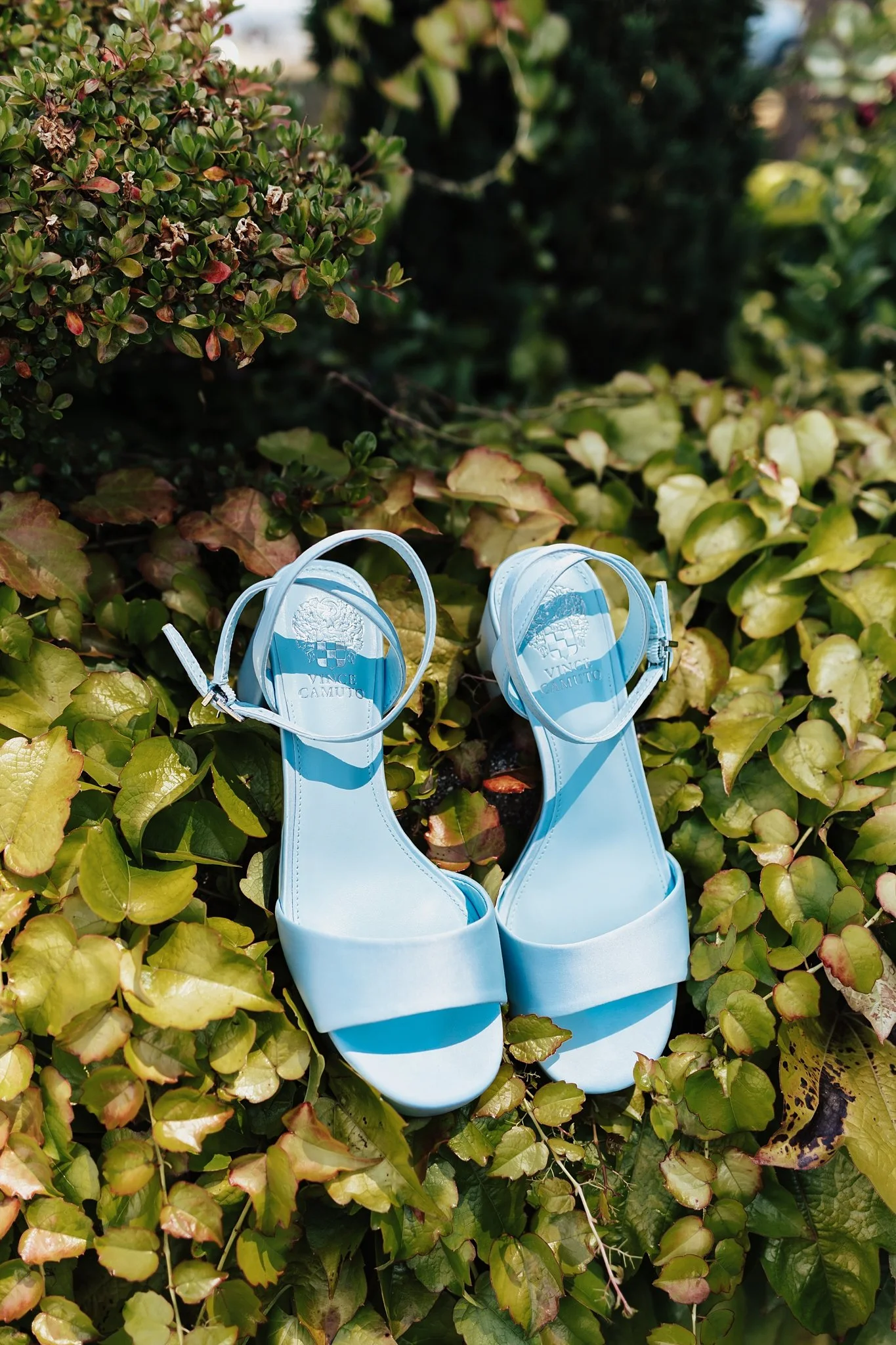 Alicia+lucia+photography+-+oregon+wedding+-+portland+wedding+-+willamette+valley+vineyards_0014.jpg