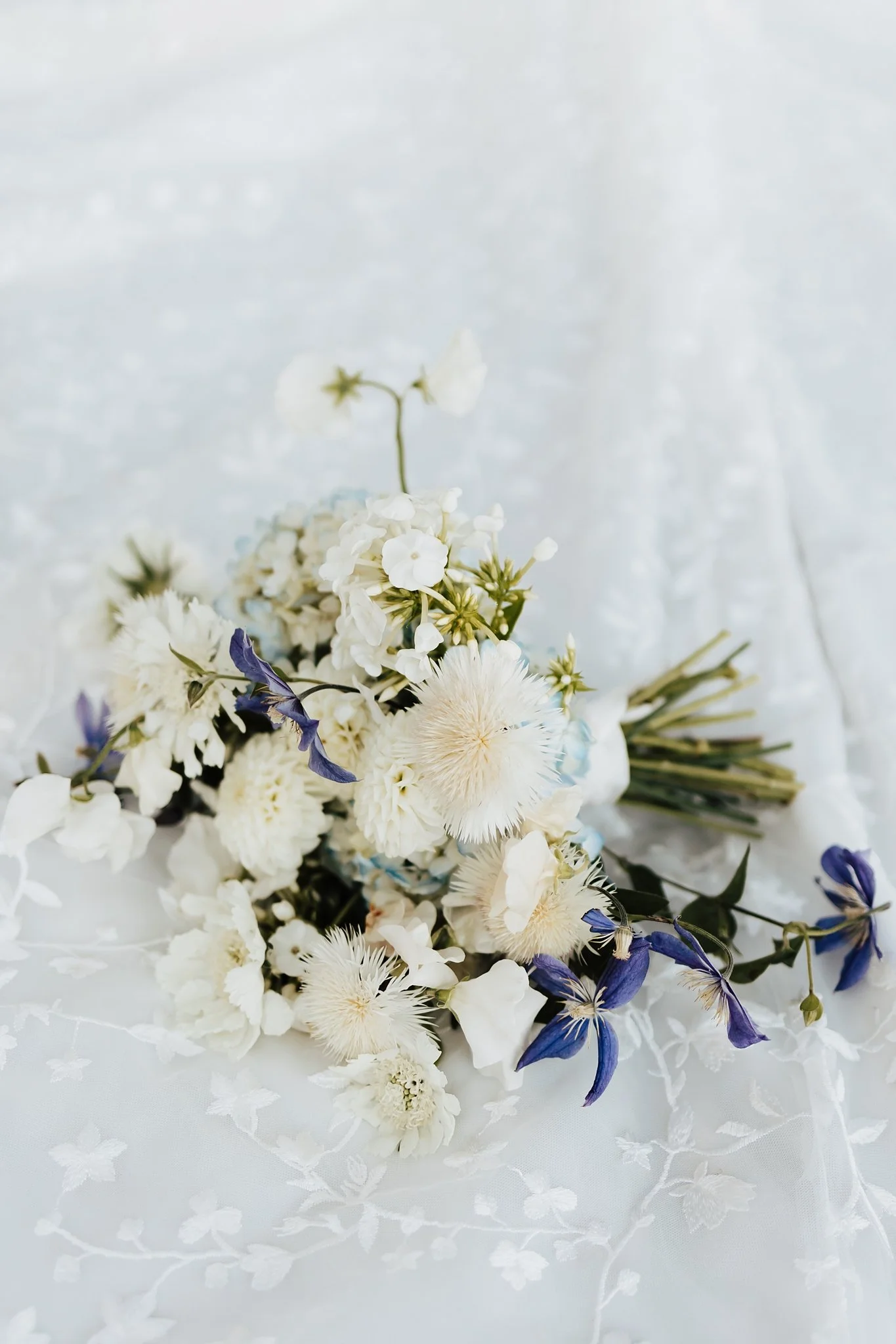 Alicia+lucia+photography+-+oregon+wedding+-+portland+wedding+-+willamette+valley+vineyards_0047.jpg