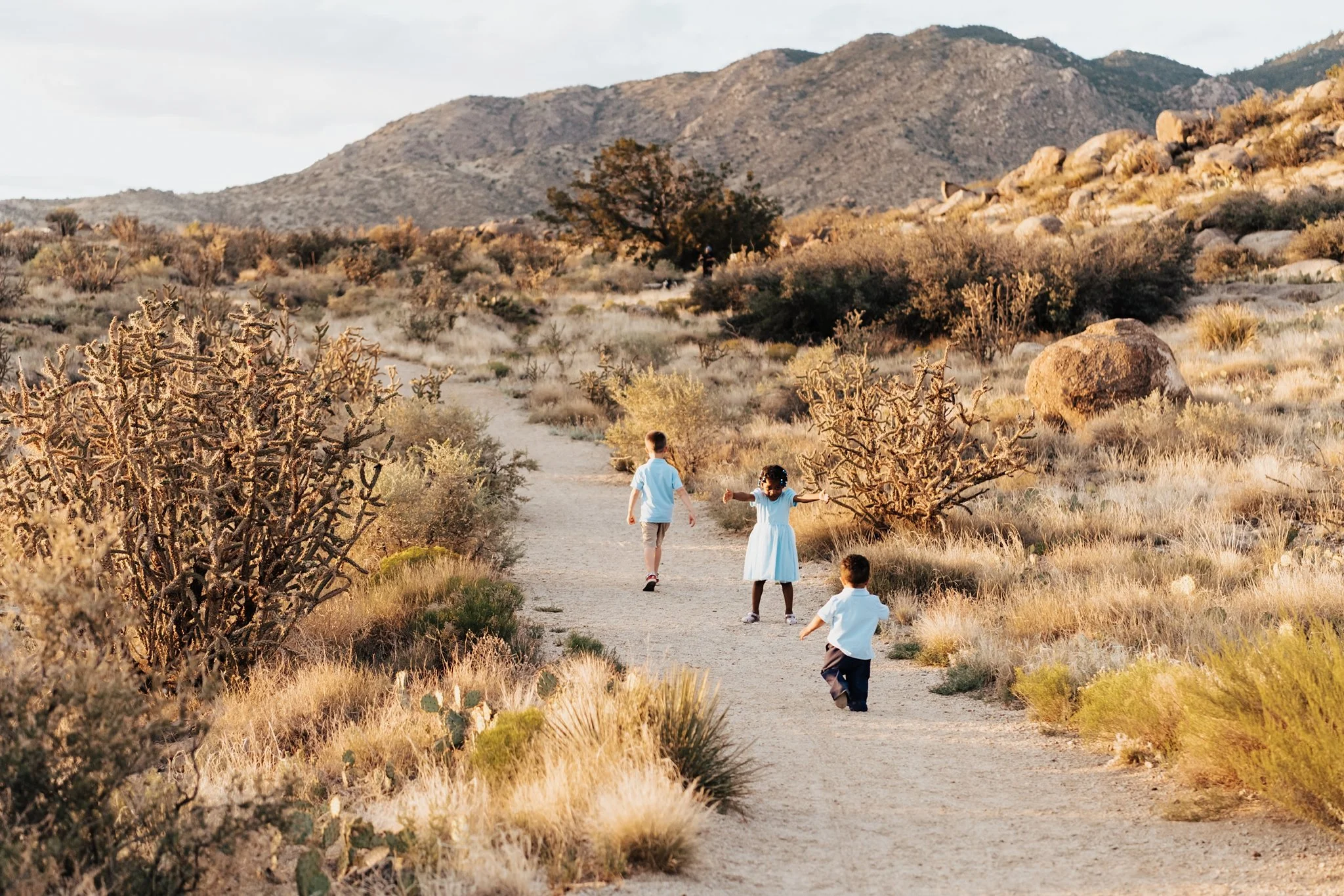 Alicia+lucia+photography+-+family+portraits+-+southwest+portraits+-+new+mexico+portraits+-+albuquerque+portraits_0009.jpg