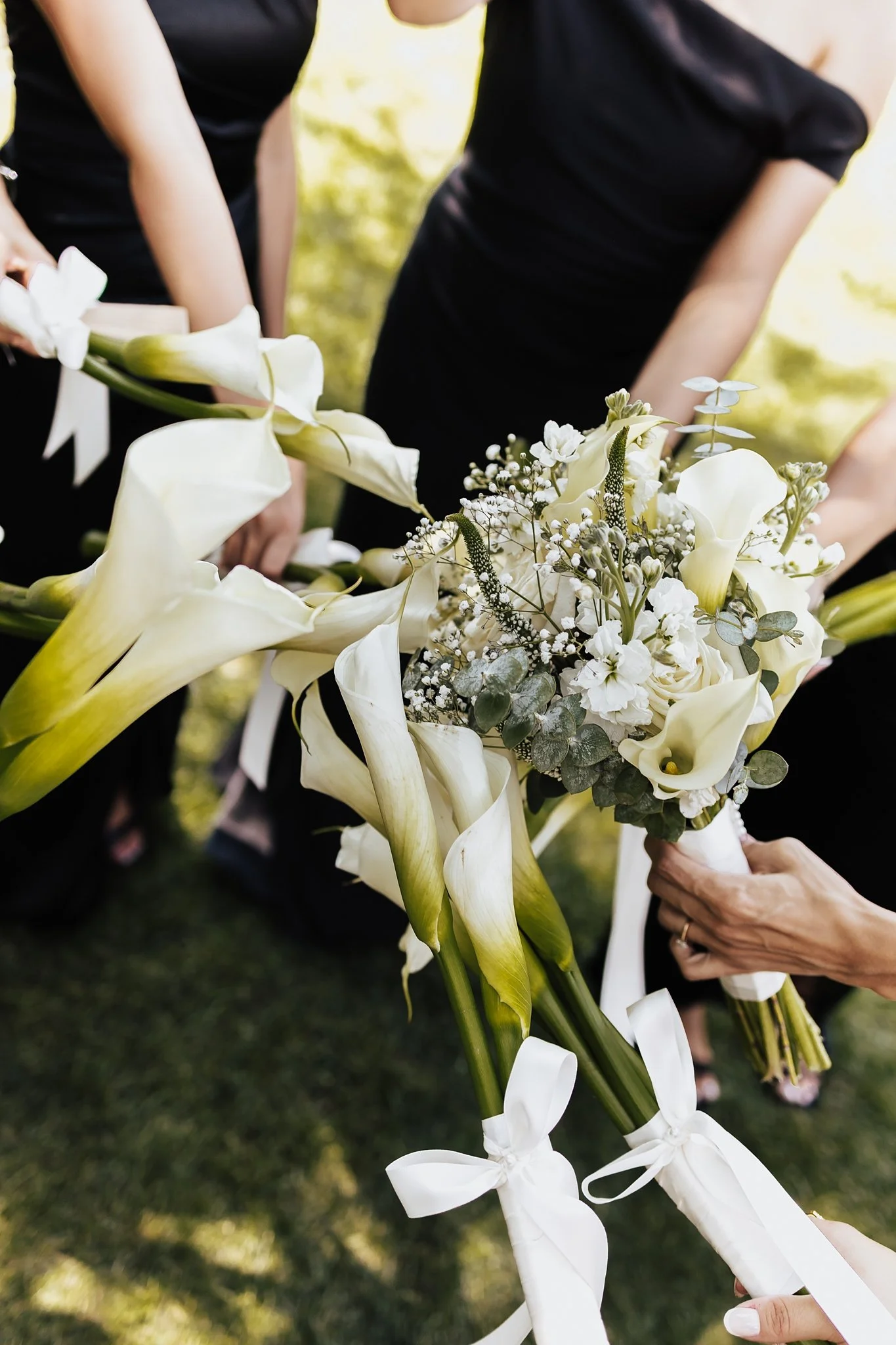Alicia+lucia+photography+-+old+town+weddings+-+casas+de+suenos+-+destination+wedding_0047.jpg