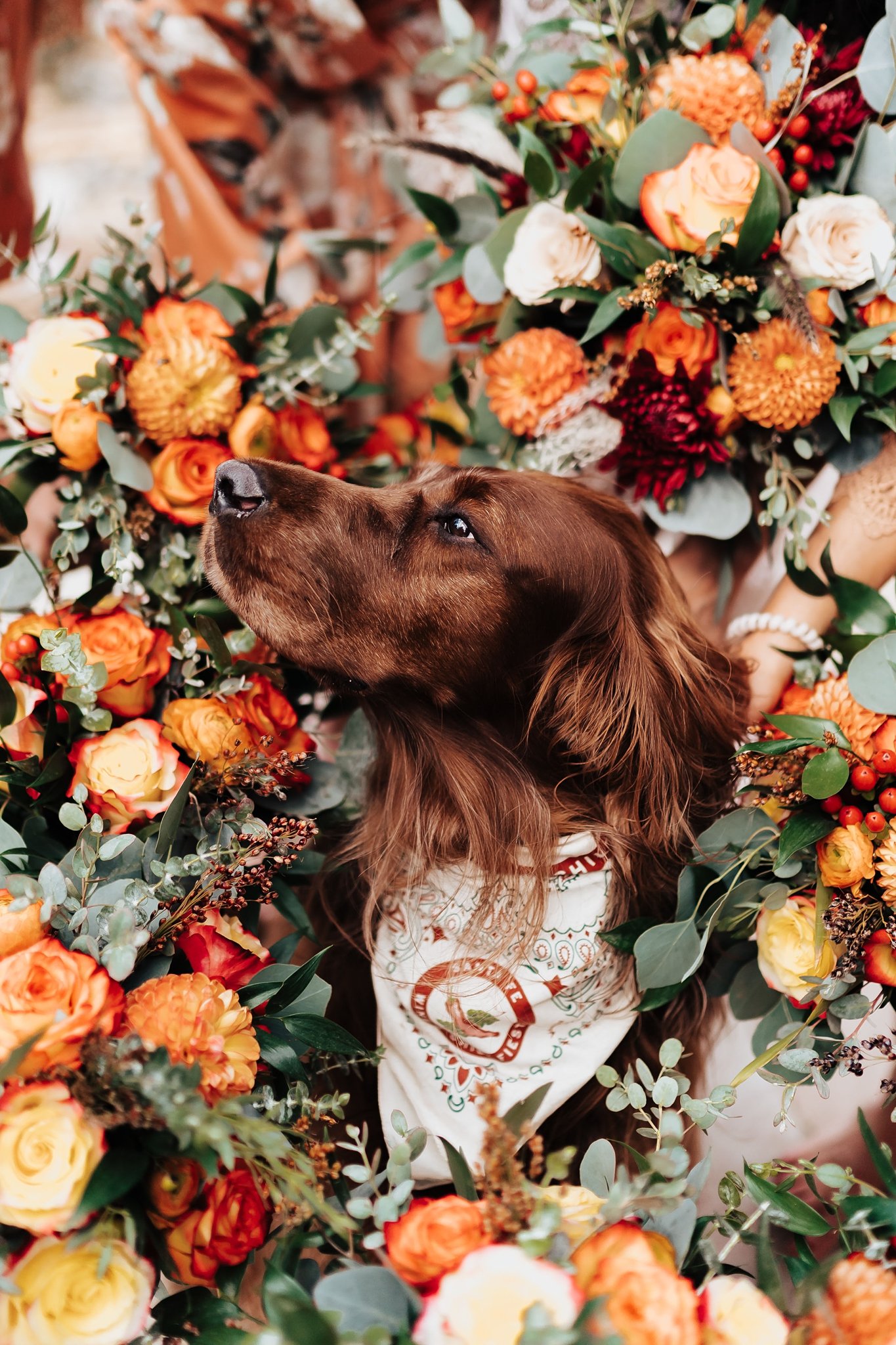 Alicia+lucia+photography+-+fall+wedding+-+destination+wedding+-+southwest+wedding_0104.jpg