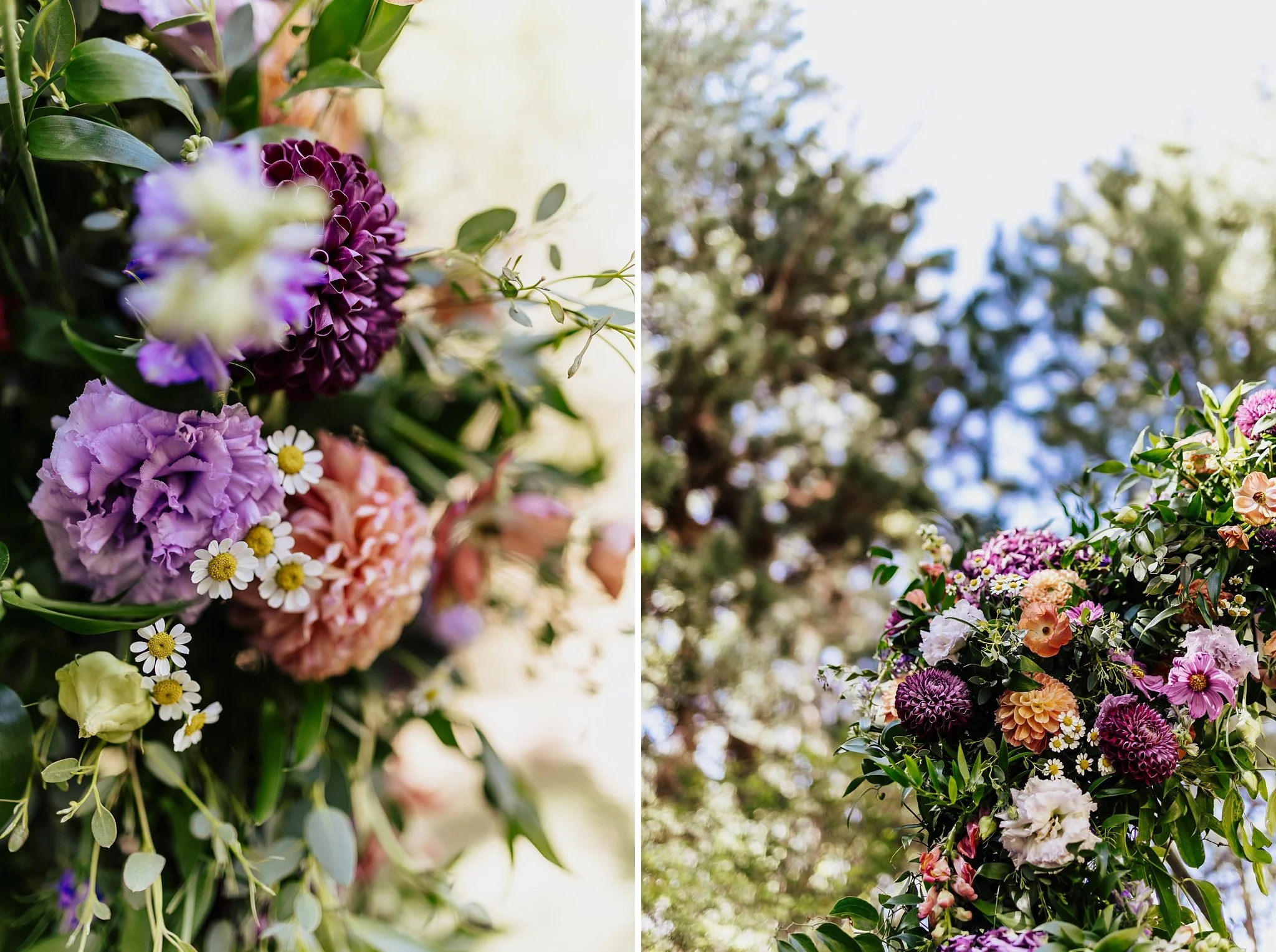 Alicia+lucia+photography+-+los+poblanos+-+los+poblanos+wedding+-+lgbtq+wedding+-+los+poblanos+elopement_0003.jpg