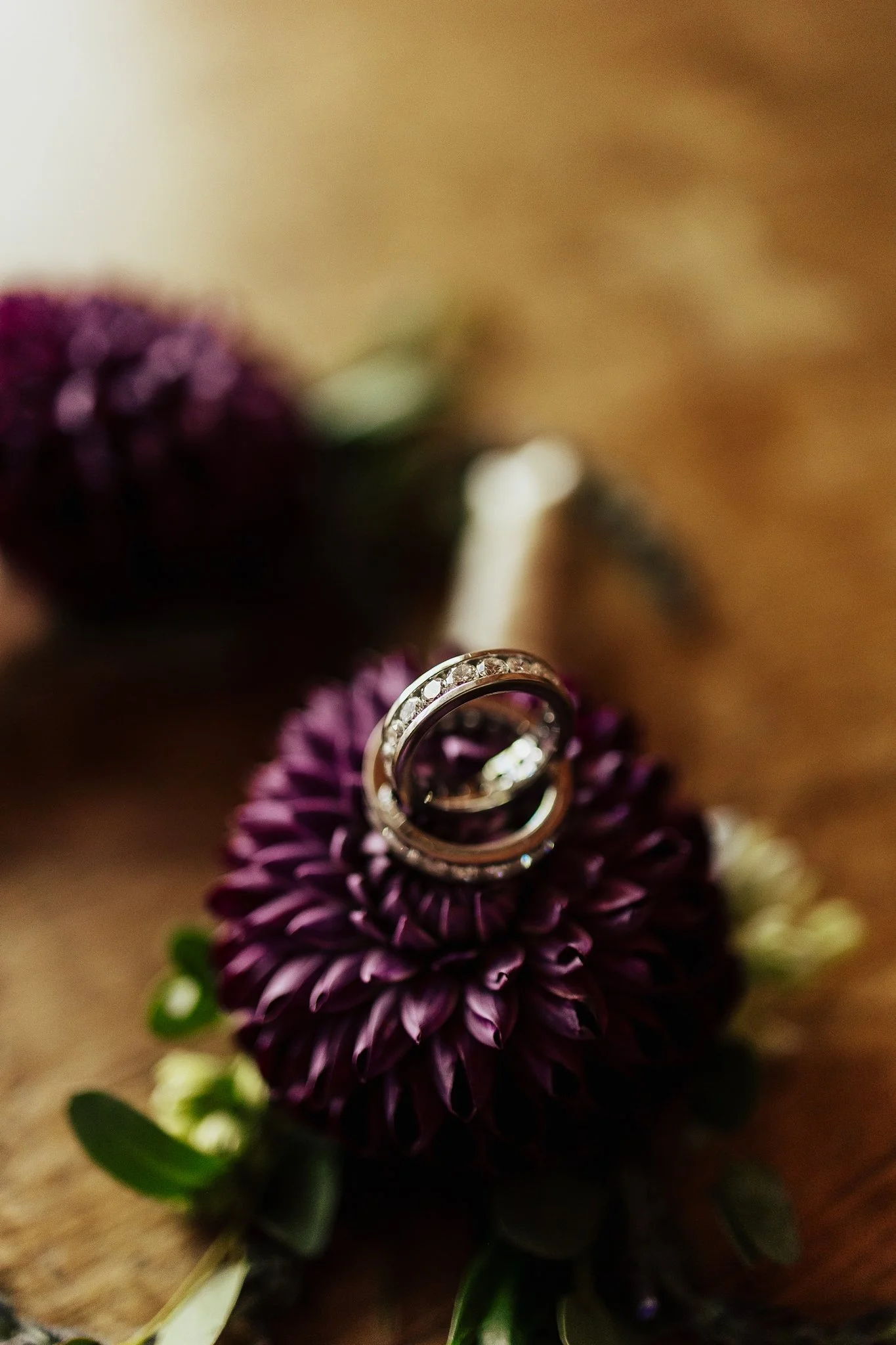 Alicia+lucia+photography+-+los+poblanos+-+los+poblanos+wedding+-+lgbtq+wedding+-+los+poblanos+elopement_0031.jpg