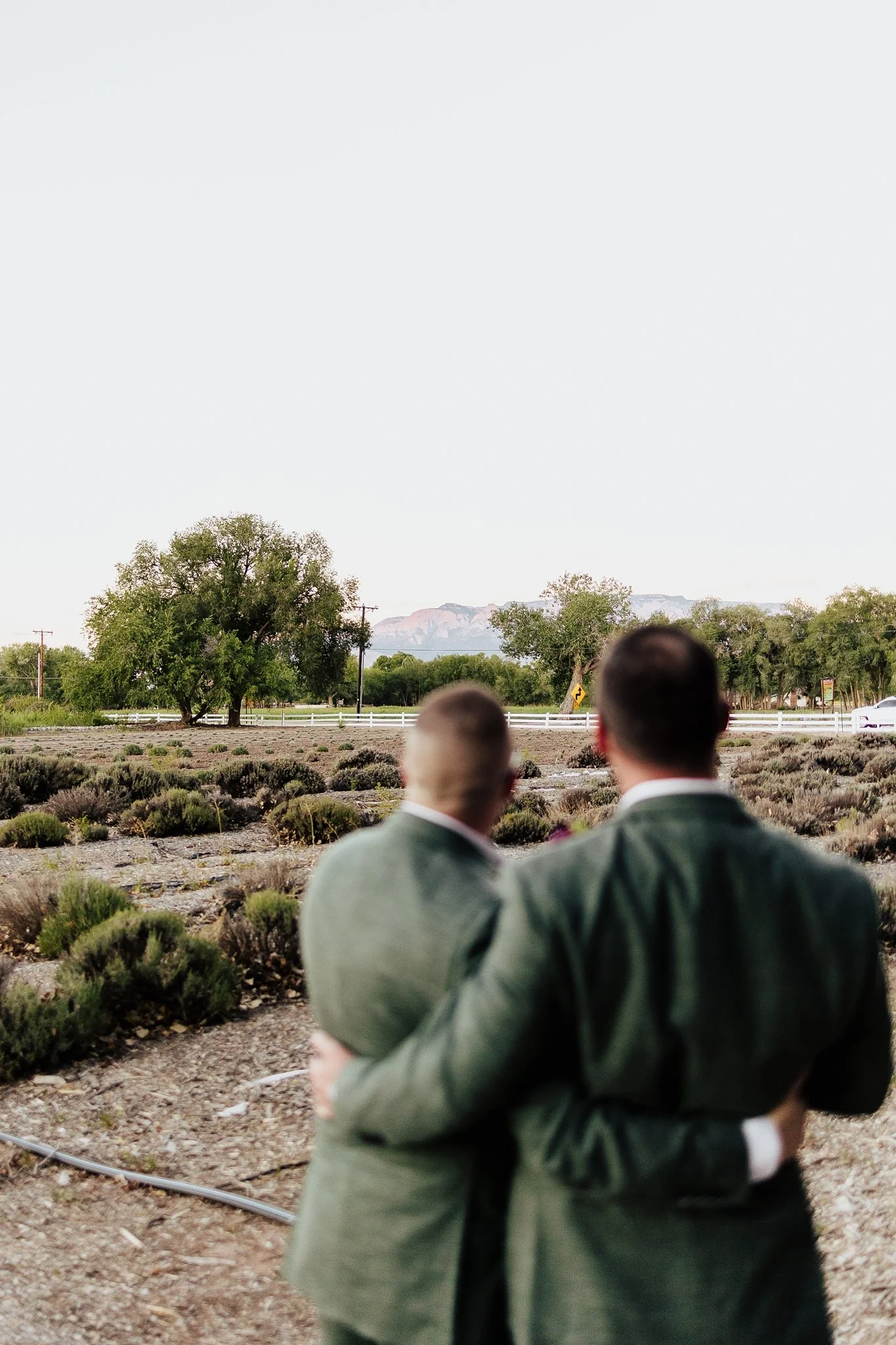 Alicia+lucia+photography+-+los+poblanos+-+los+poblanos+wedding+-+lgbtq+wedding+-+los+poblanos+elopement_0070.jpg
