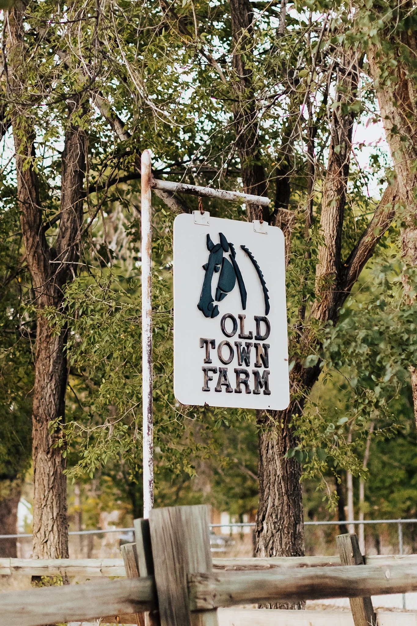 Alicia+lucia+photography+-+old+town+farm+-+old+town+farm+wedding+-+old+town+farm+engagement_0023.jpg