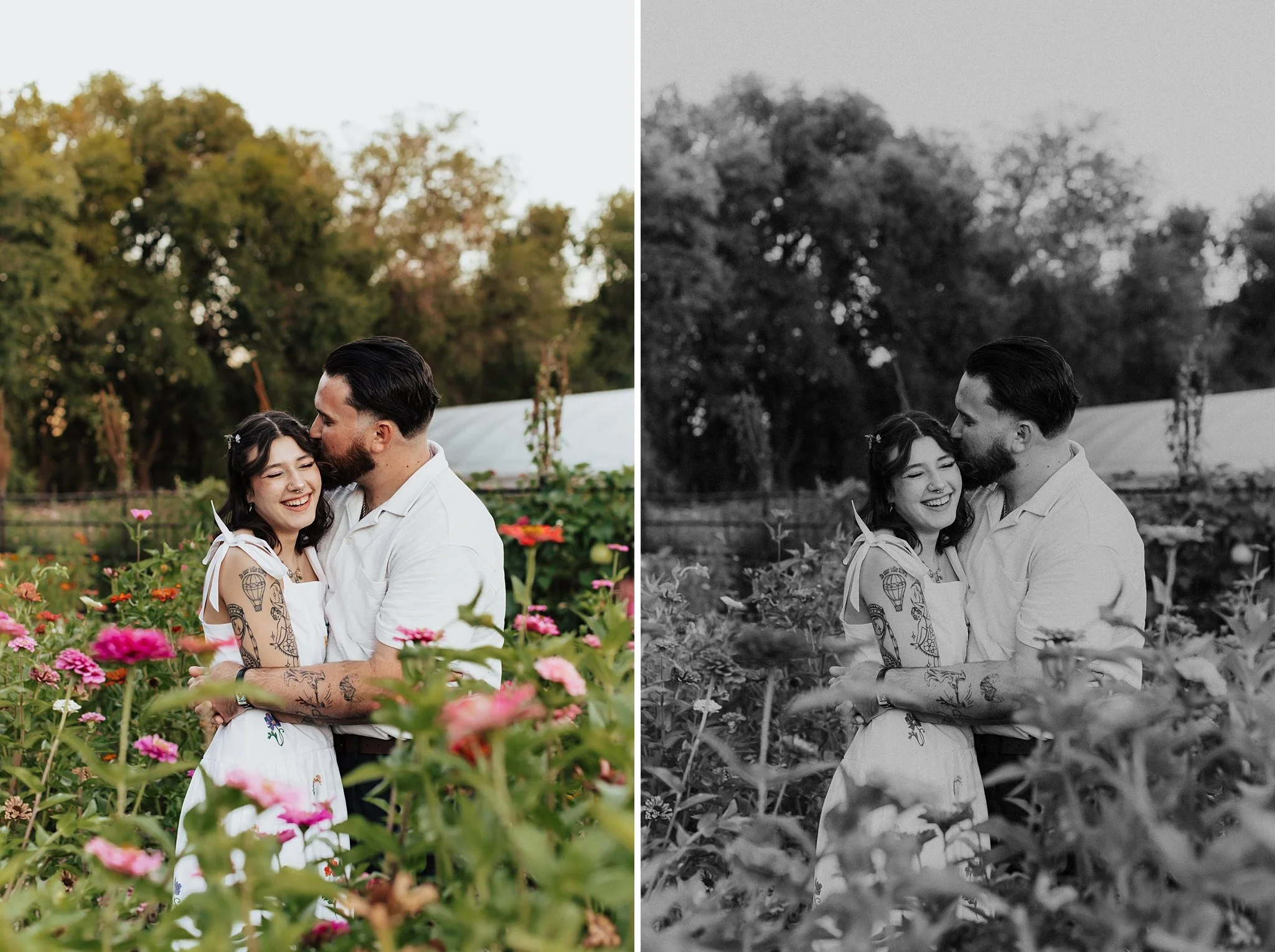 Alicia+lucia+photography+-+old+town+farm+-+old+town+farm+wedding+-+old+town+farm+engagement_0061.jpg