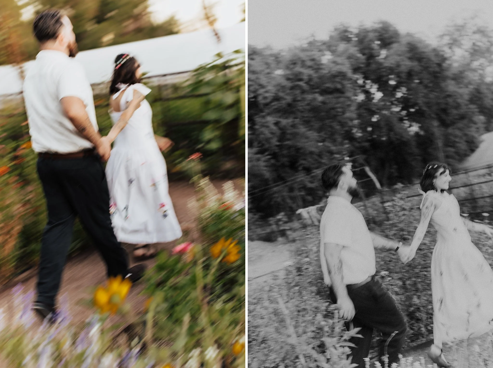 Alicia+lucia+photography+-+old+town+farm+-+old+town+farm+wedding+-+old+town+farm+engagement_0064.jpg