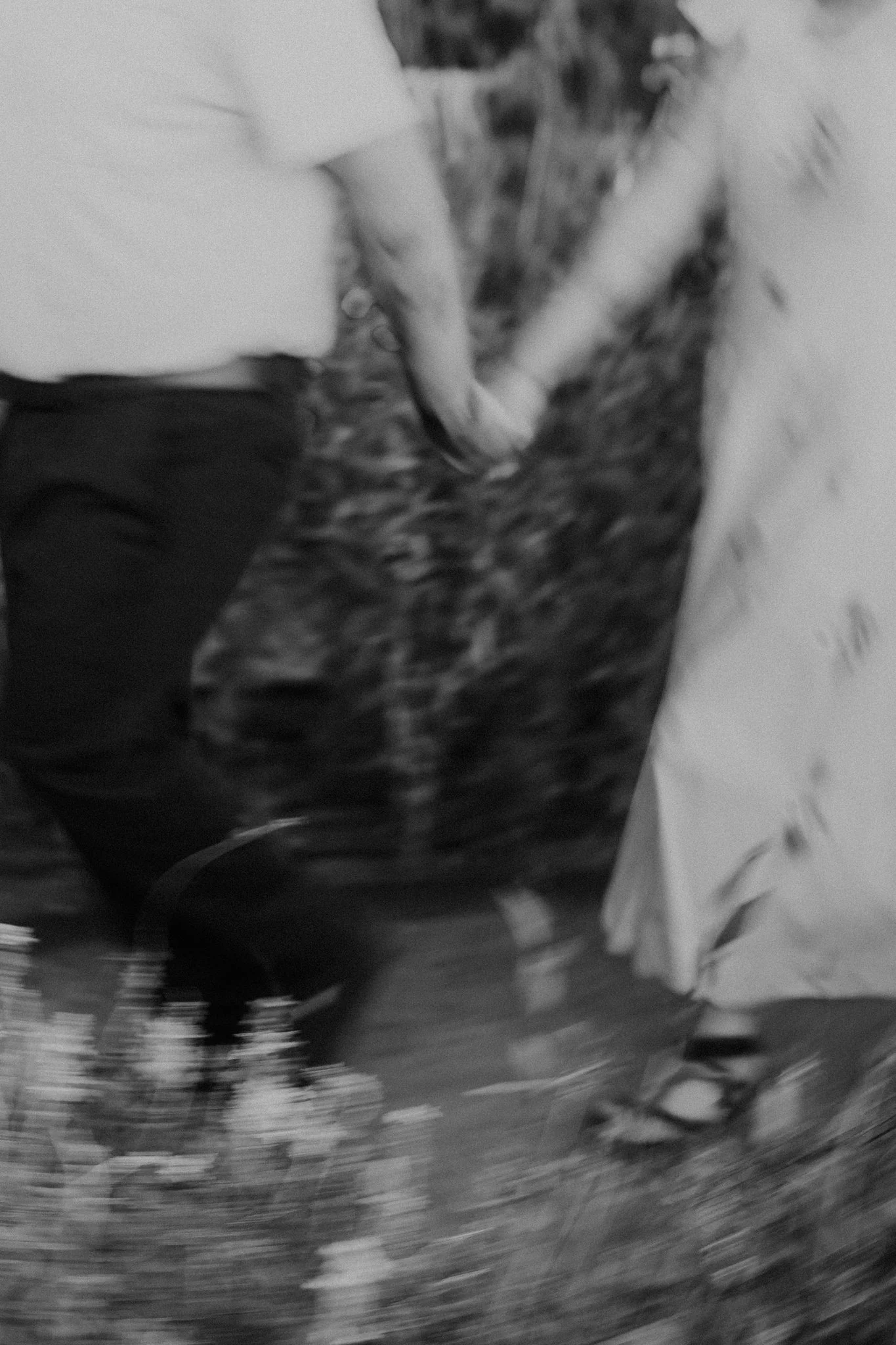 Alicia+lucia+photography+-+old+town+farm+-+old+town+farm+wedding+-+old+town+farm+engagement_0065.jpg