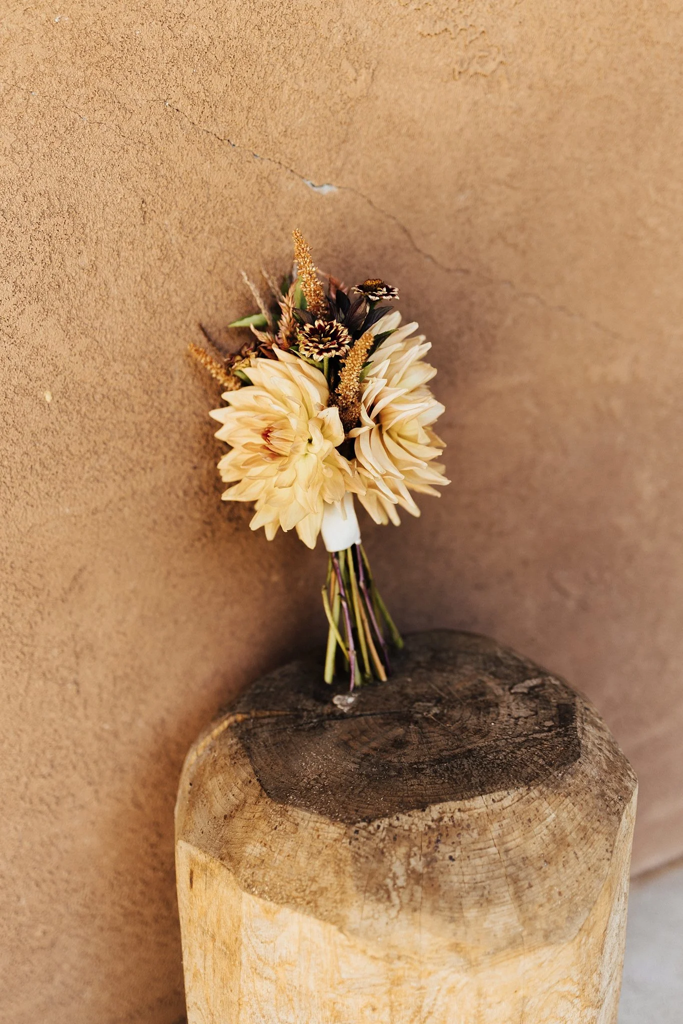 Alicia+lucia+photography+-+field+trip+-+field+trip+wedding+-+pecos+wedding_0002.jpg