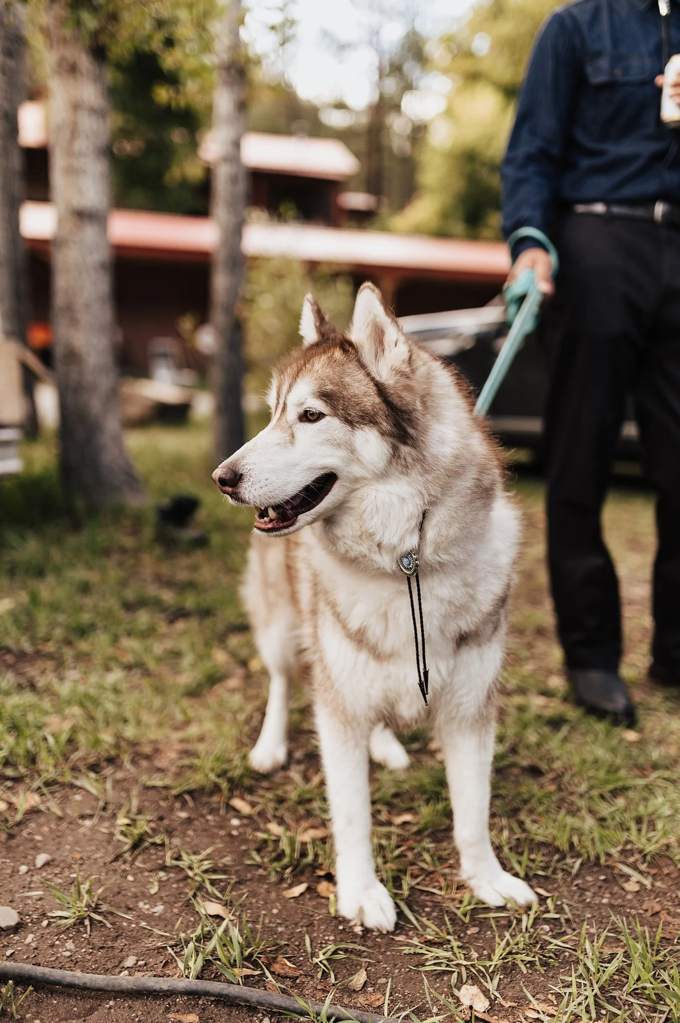 Alicia+lucia+photography+-+field+trip+-+field+trip+wedding+-+pecos+wedding_0020.jpg