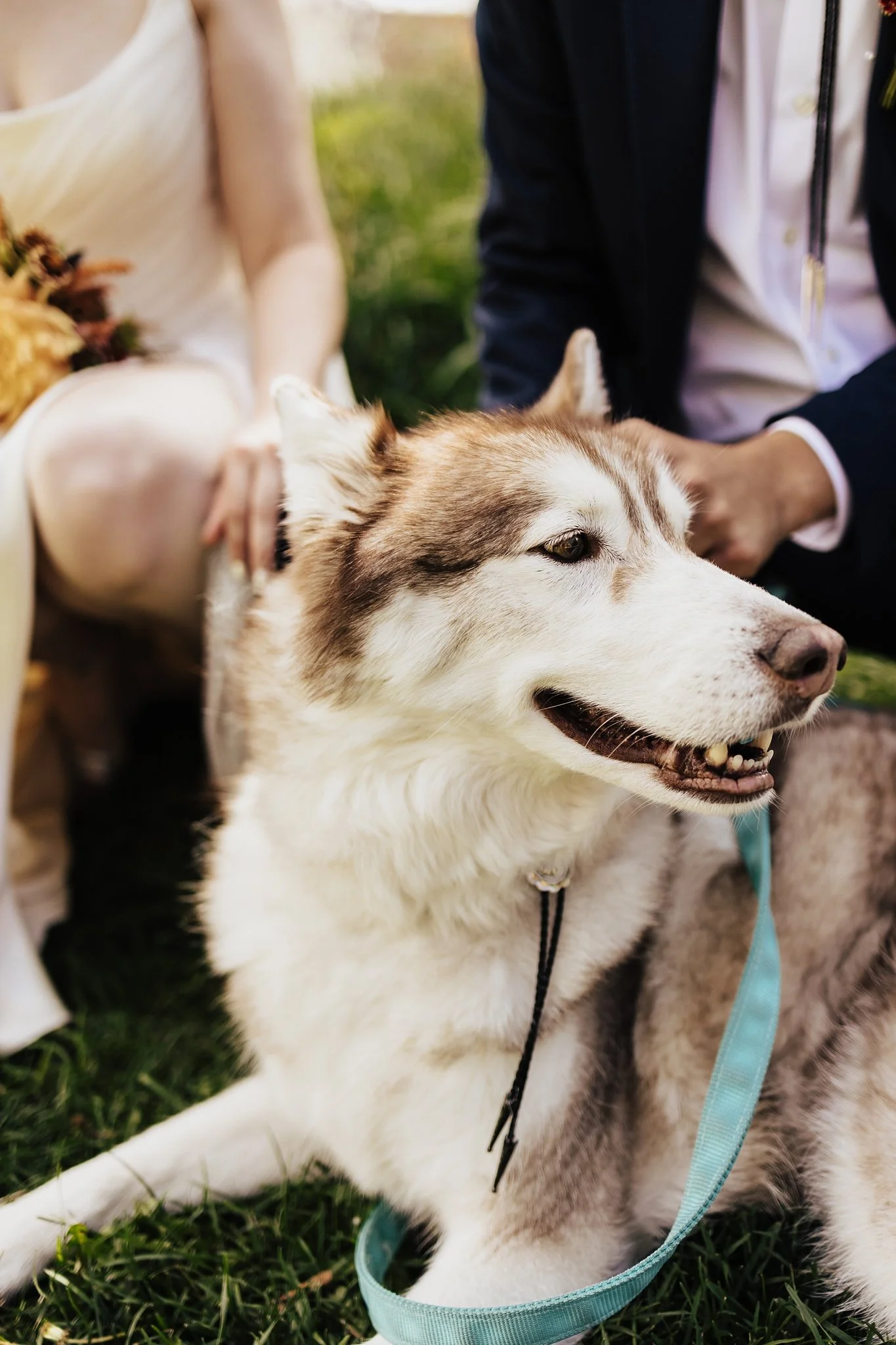Alicia+lucia+photography+-+field+trip+-+field+trip+wedding+-+pecos+wedding_0032.jpg