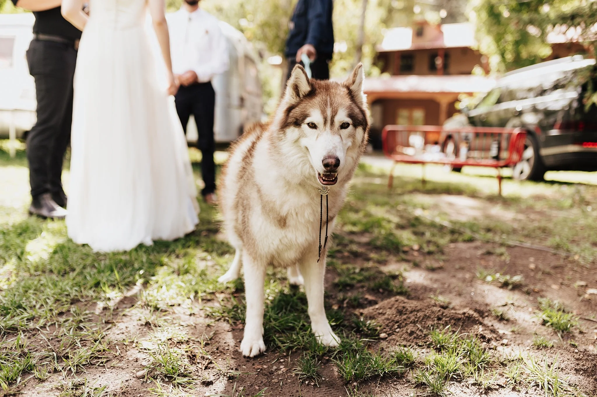 Alicia+lucia+photography+-+field+trip+-+field+trip+wedding+-+pecos+wedding_0036.jpg