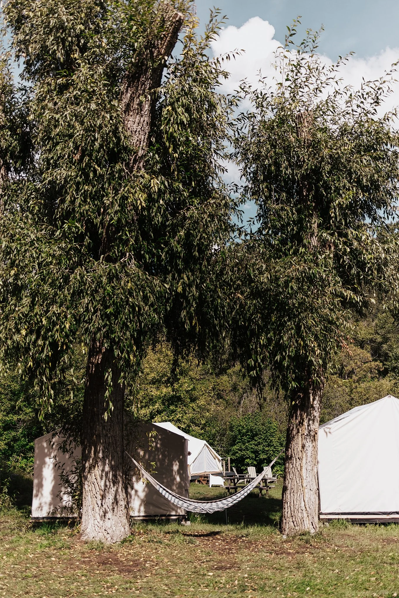 Alicia+lucia+photography+-+field+trip+-+field+trip+wedding+-+pecos+wedding_0042.jpg