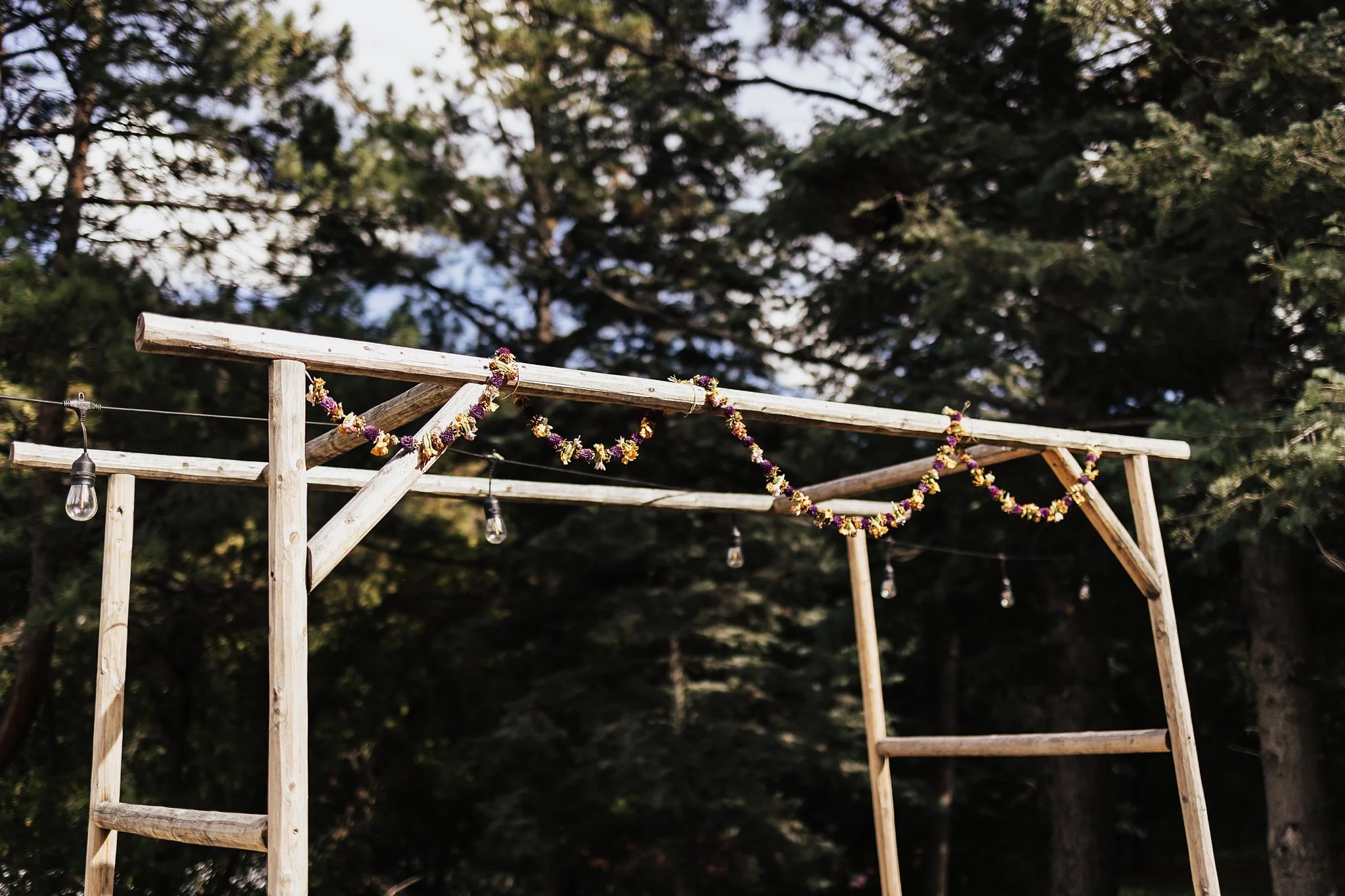 Alicia+lucia+photography+-+field+trip+-+field+trip+wedding+-+pecos+wedding_0044.jpg