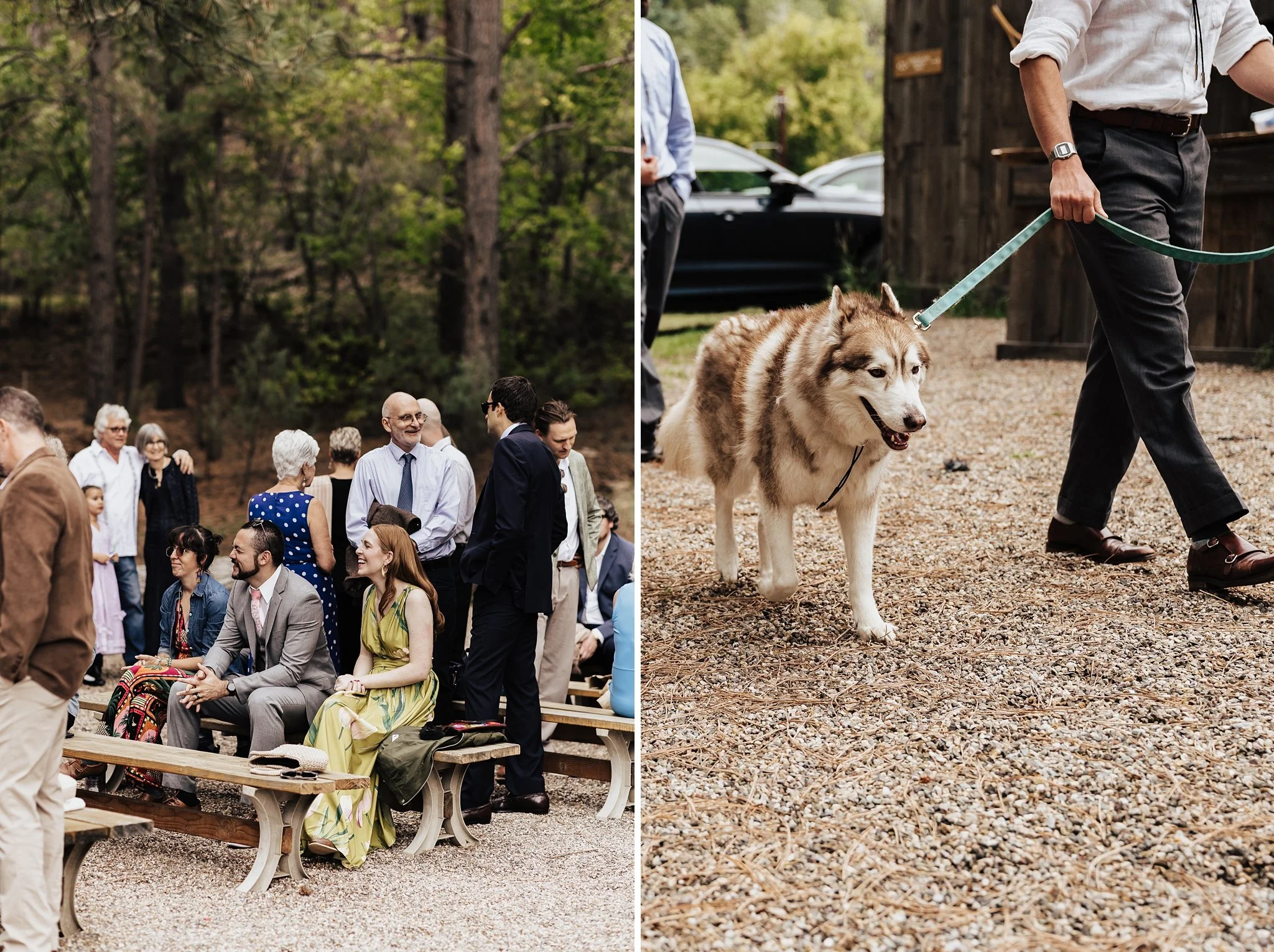 Alicia+lucia+photography+-+field+trip+-+field+trip+wedding+-+pecos+wedding_0050.jpg