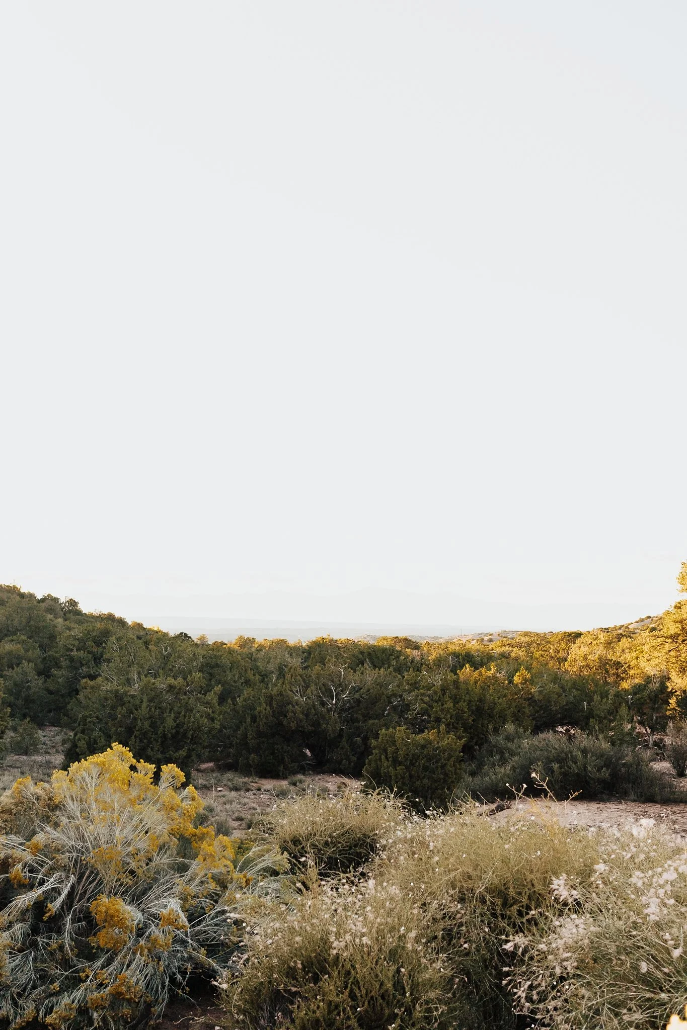 Alicia+lucia+photography+-+desert+engagement+-+southwest+engagement+-+santa+fe+wedding_0021.jpg