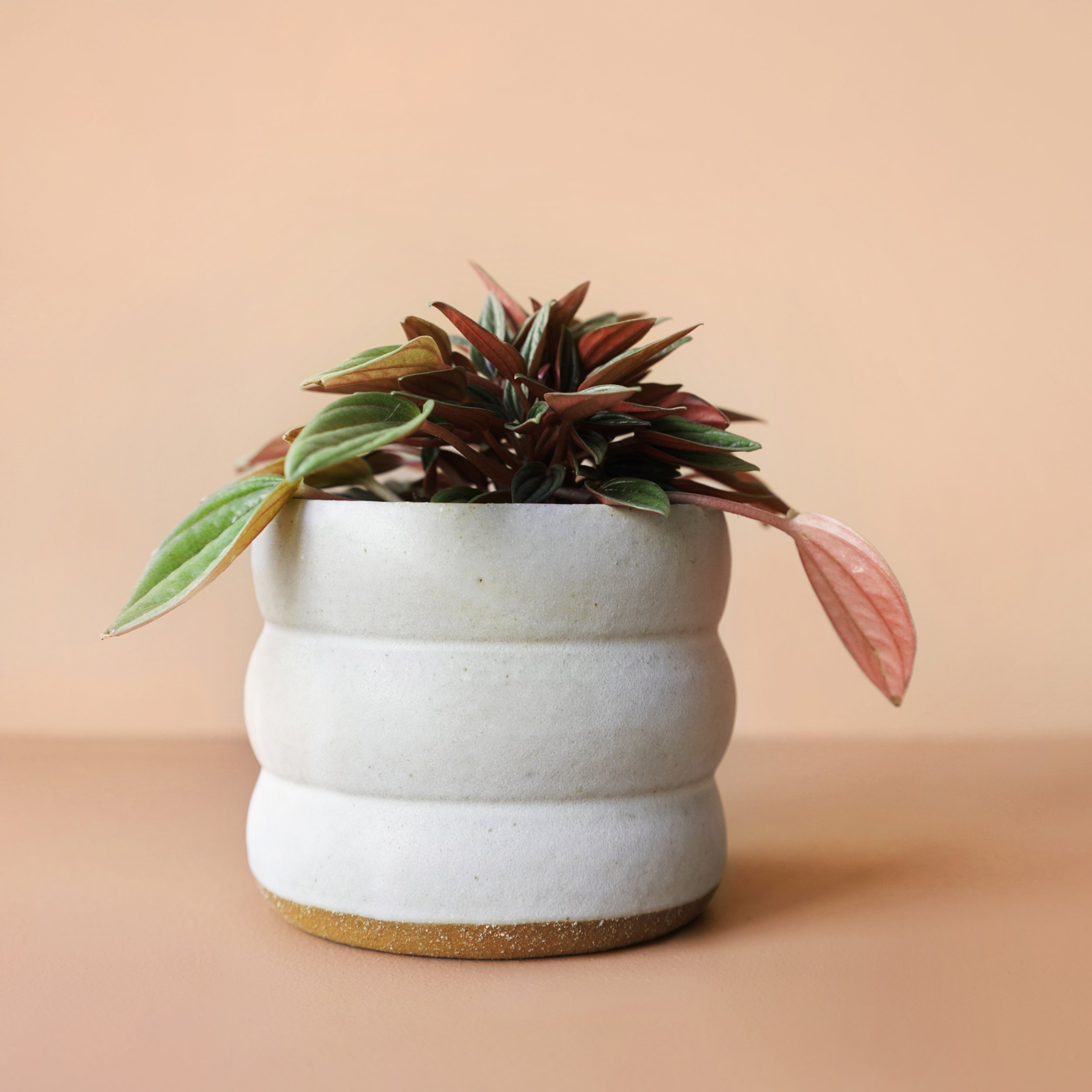 bubble planter.jpg