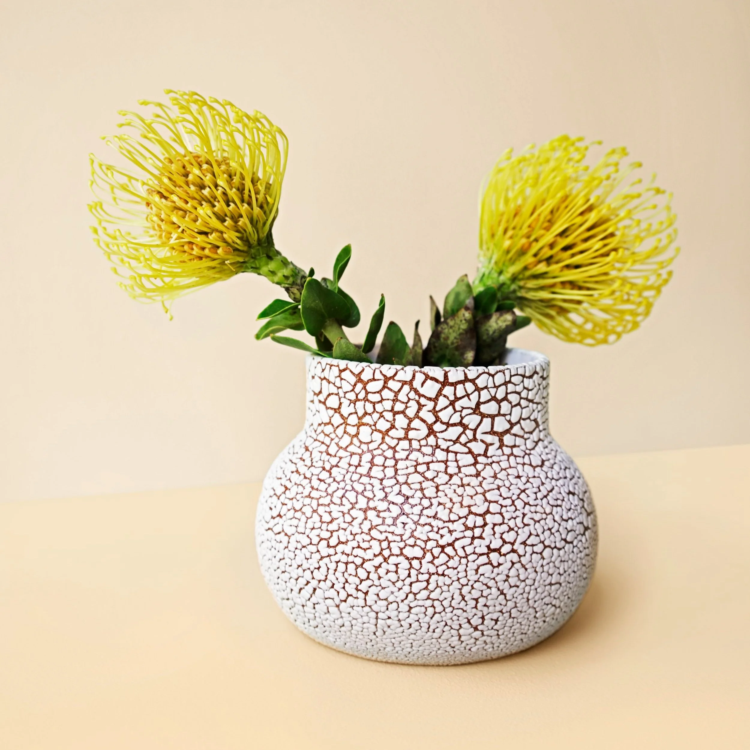cv+ceramics_crackle+vase.jpg