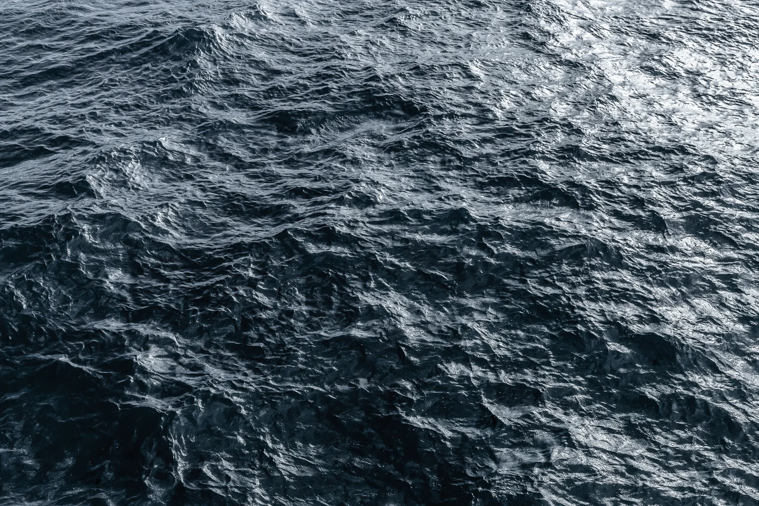 WAVE-9025-Edit4936.jpg