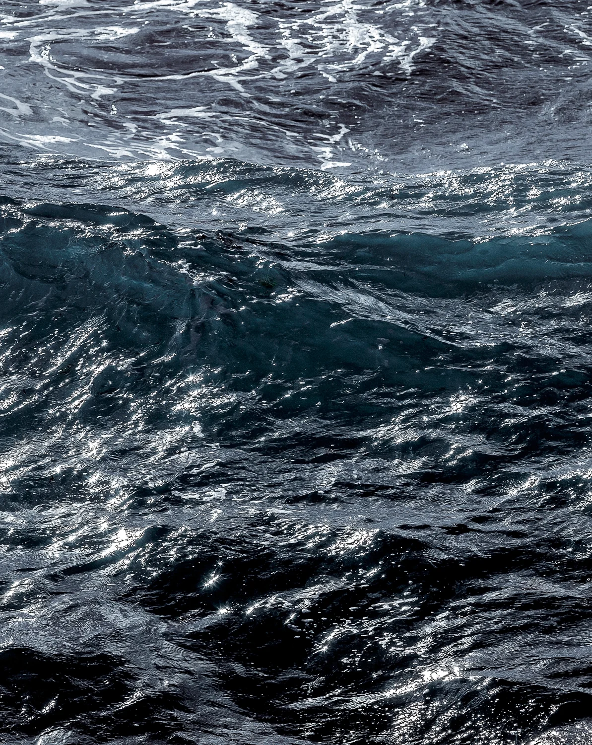 WAVE-9019-Edit4923-Edit4924.jpg