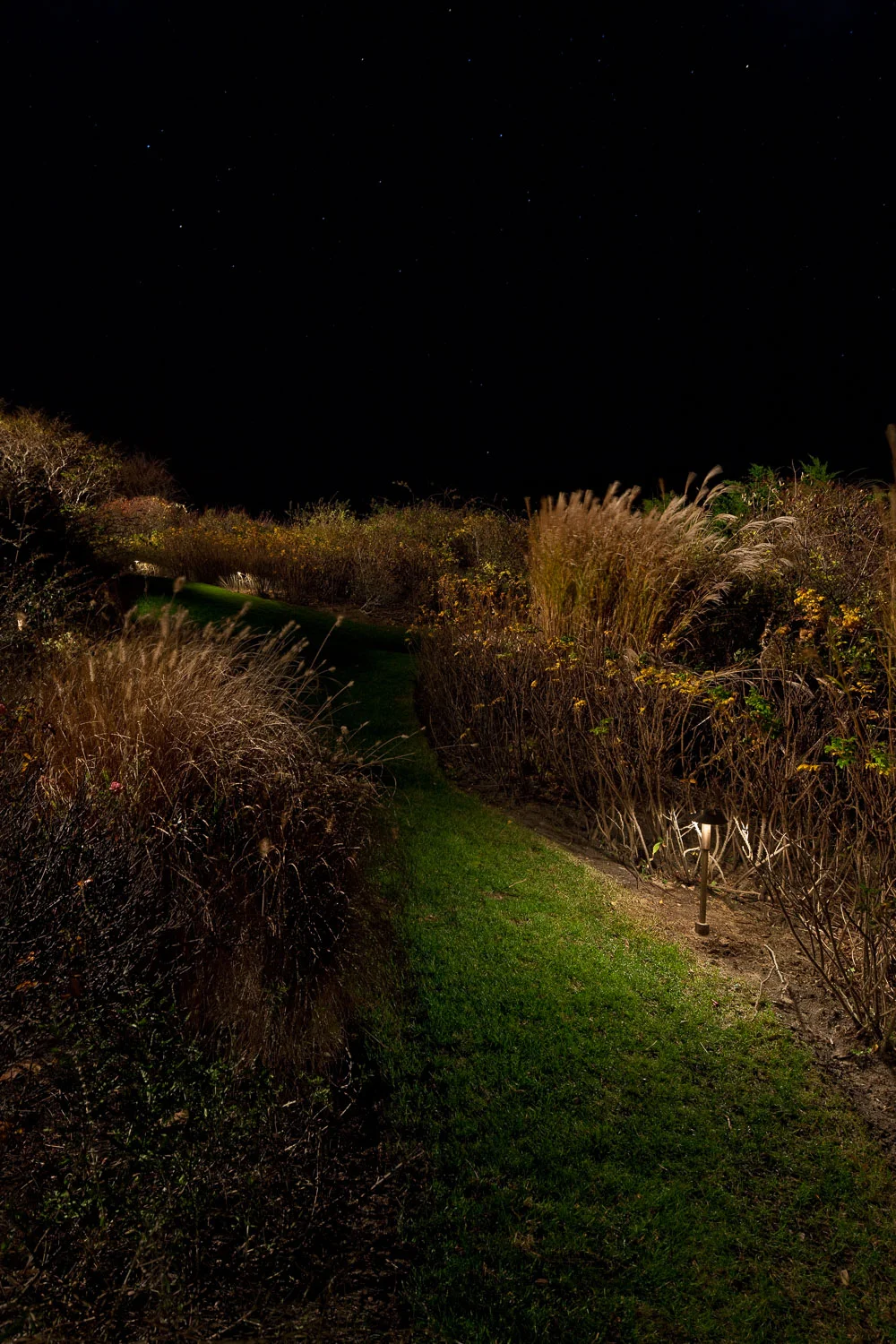 ORSMANDESIGN_EASTHAMPTON-8.jpg