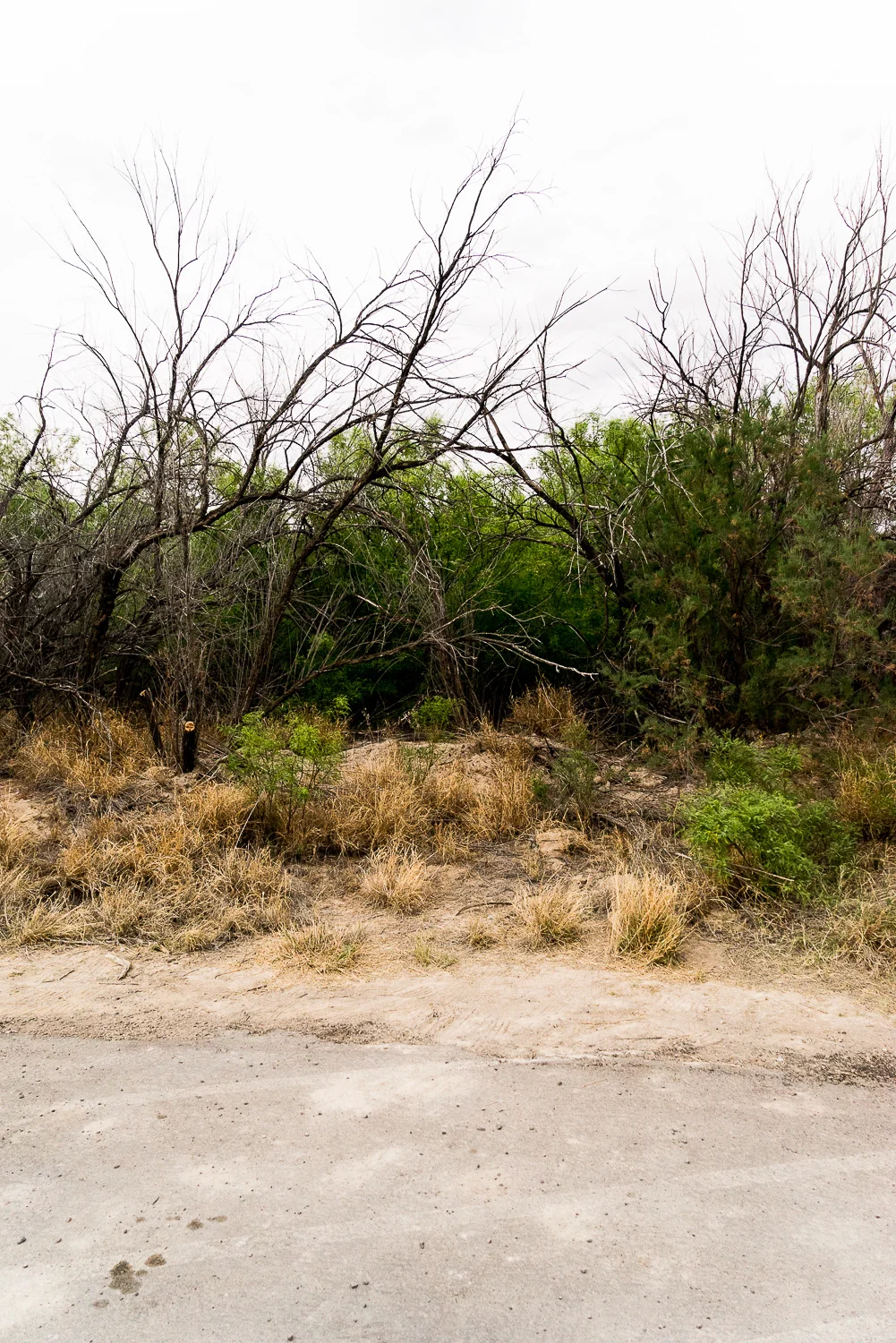 MARFA_TEAXS_LA_2015-1103.jpg