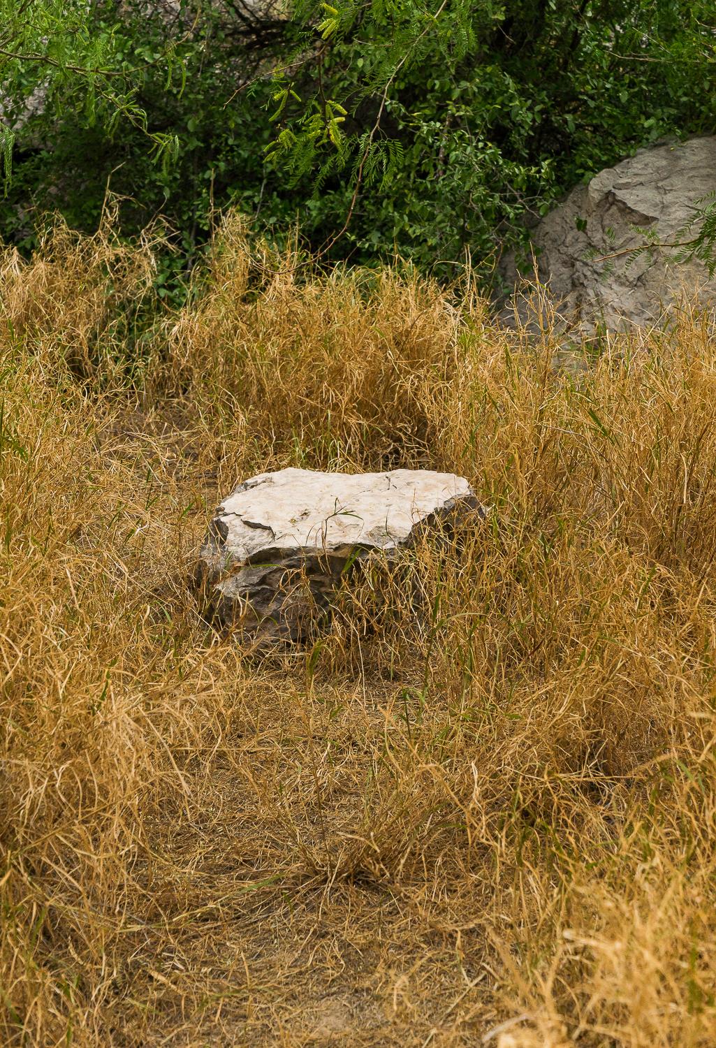 MARFA_TEAXS_LA_2015-1068.jpg