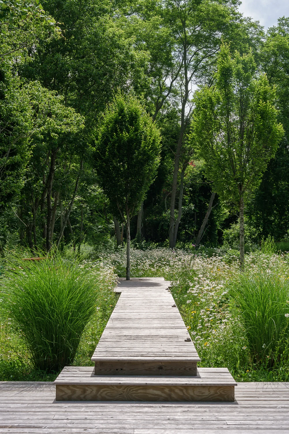 Sag Harbor Residence / Nievera Williams — MICHAEL STAVARIDIS photographer
